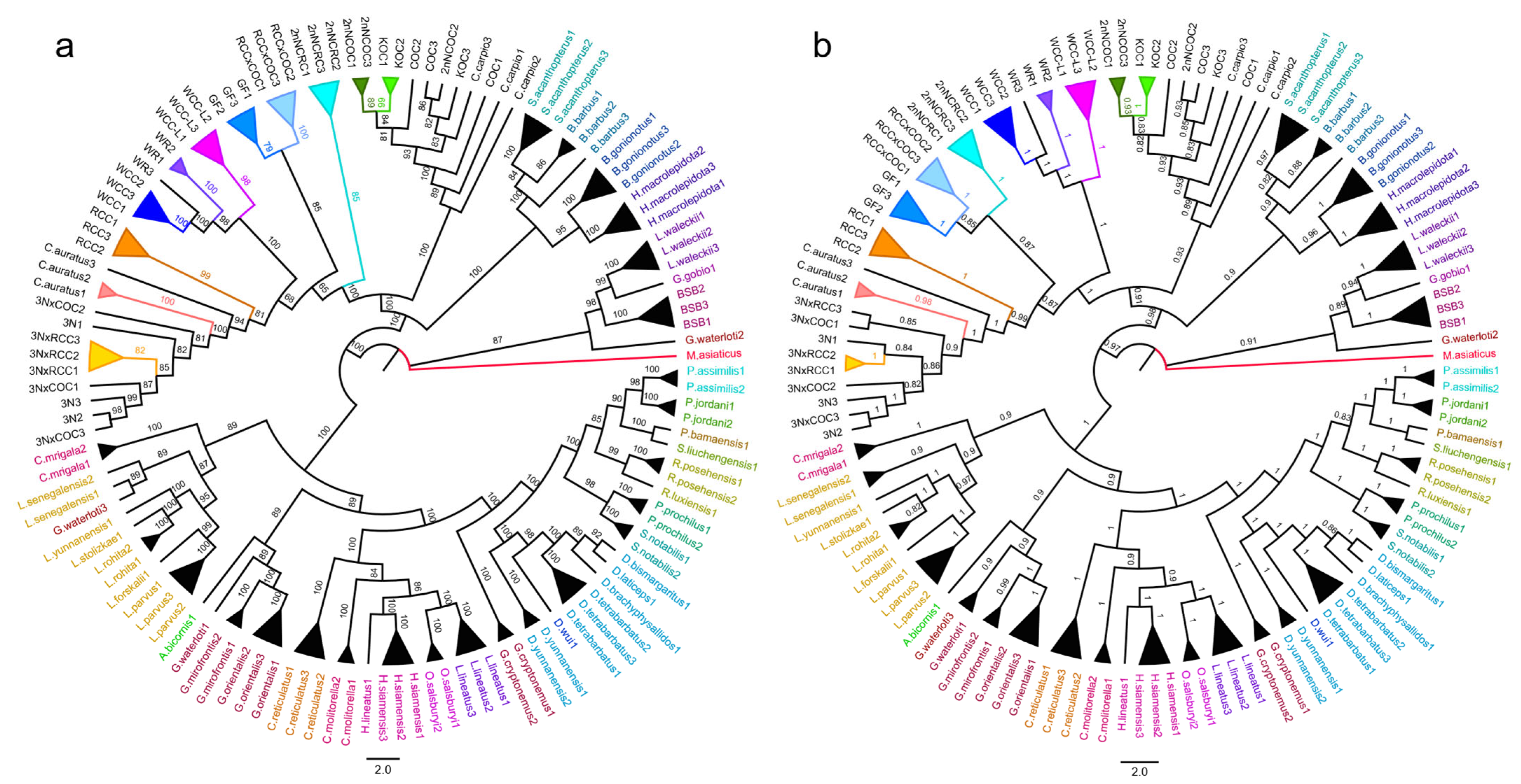 Biology 14 01527 g001 Biology 14 01527 g001