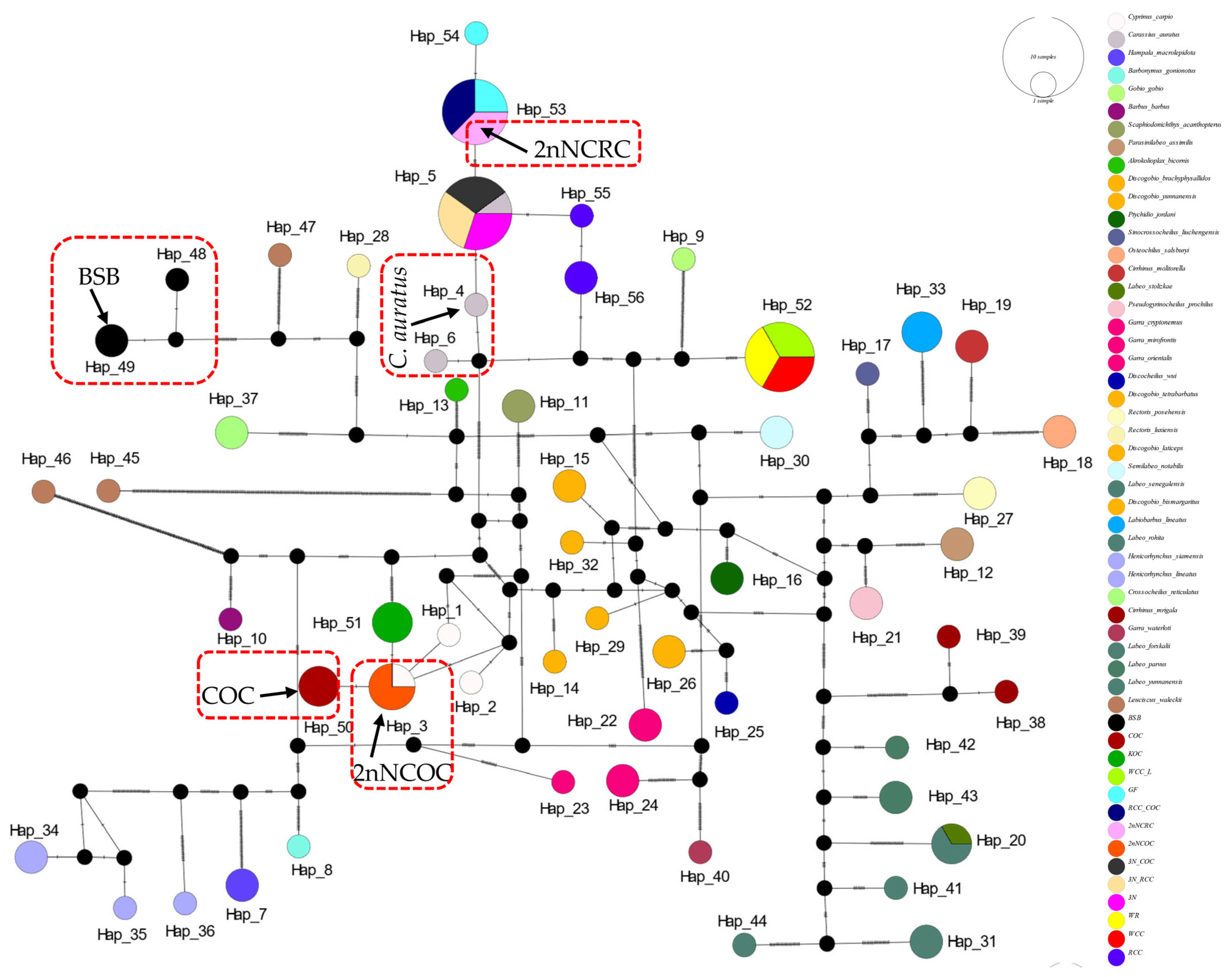 Biology 14 01527 g003 Biology 14 01527 g003