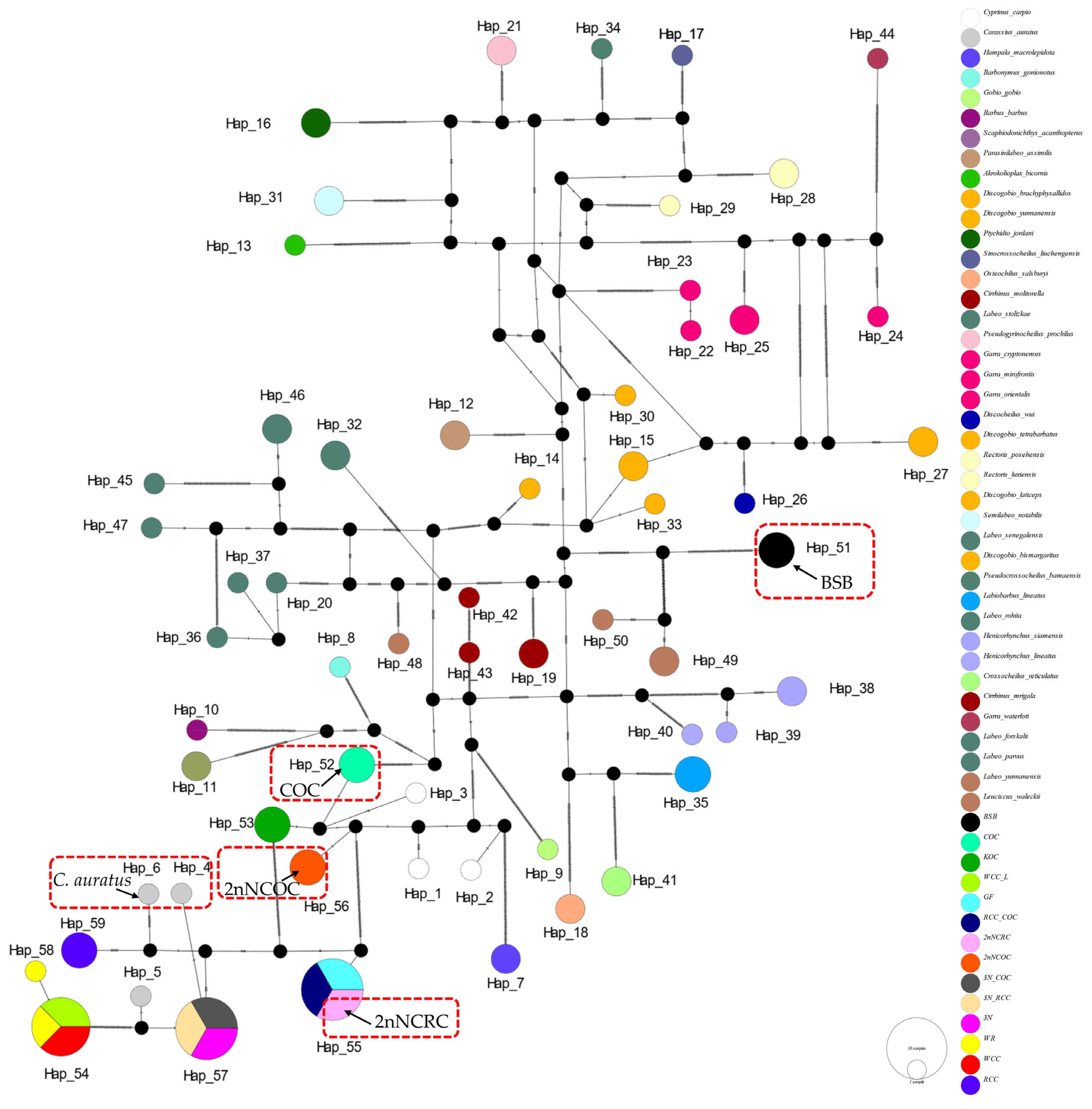 Biology 14 01527 g004 Biology 14 01527 g004