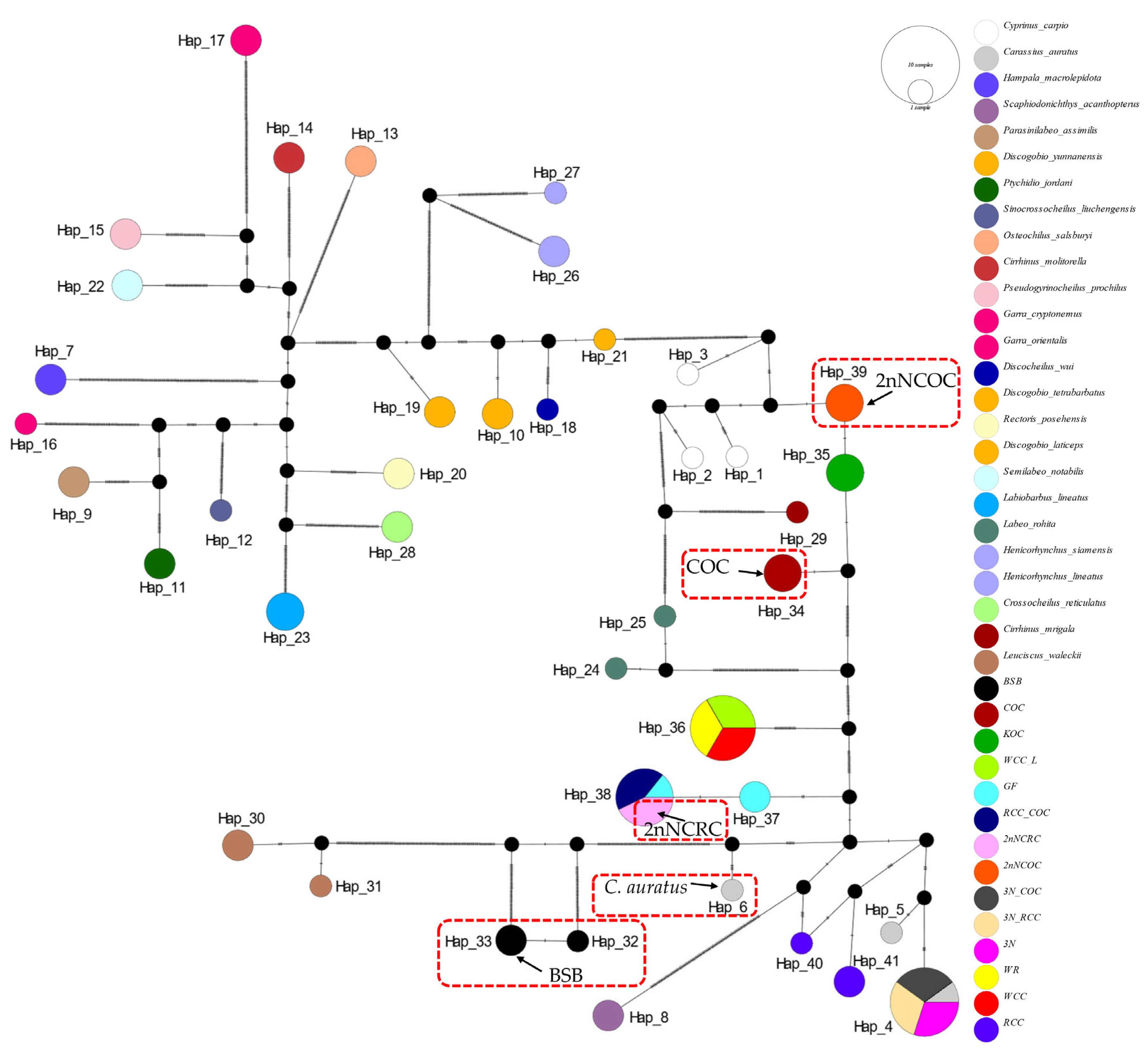 Biology 14 01527 g005 Biology 14 01527 g005