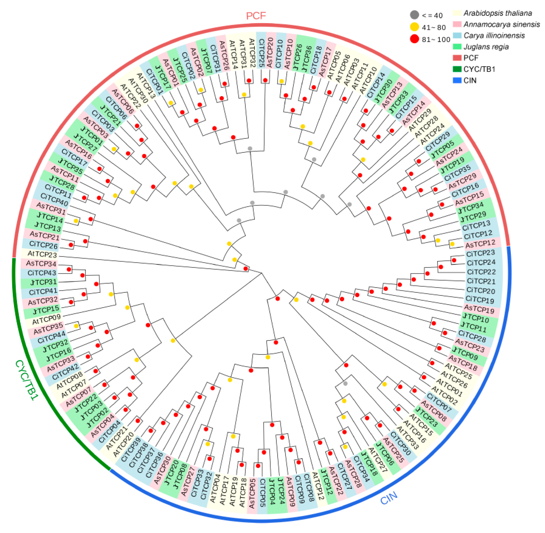 Biology 14 01529 g001 Biology 14 01529 g001