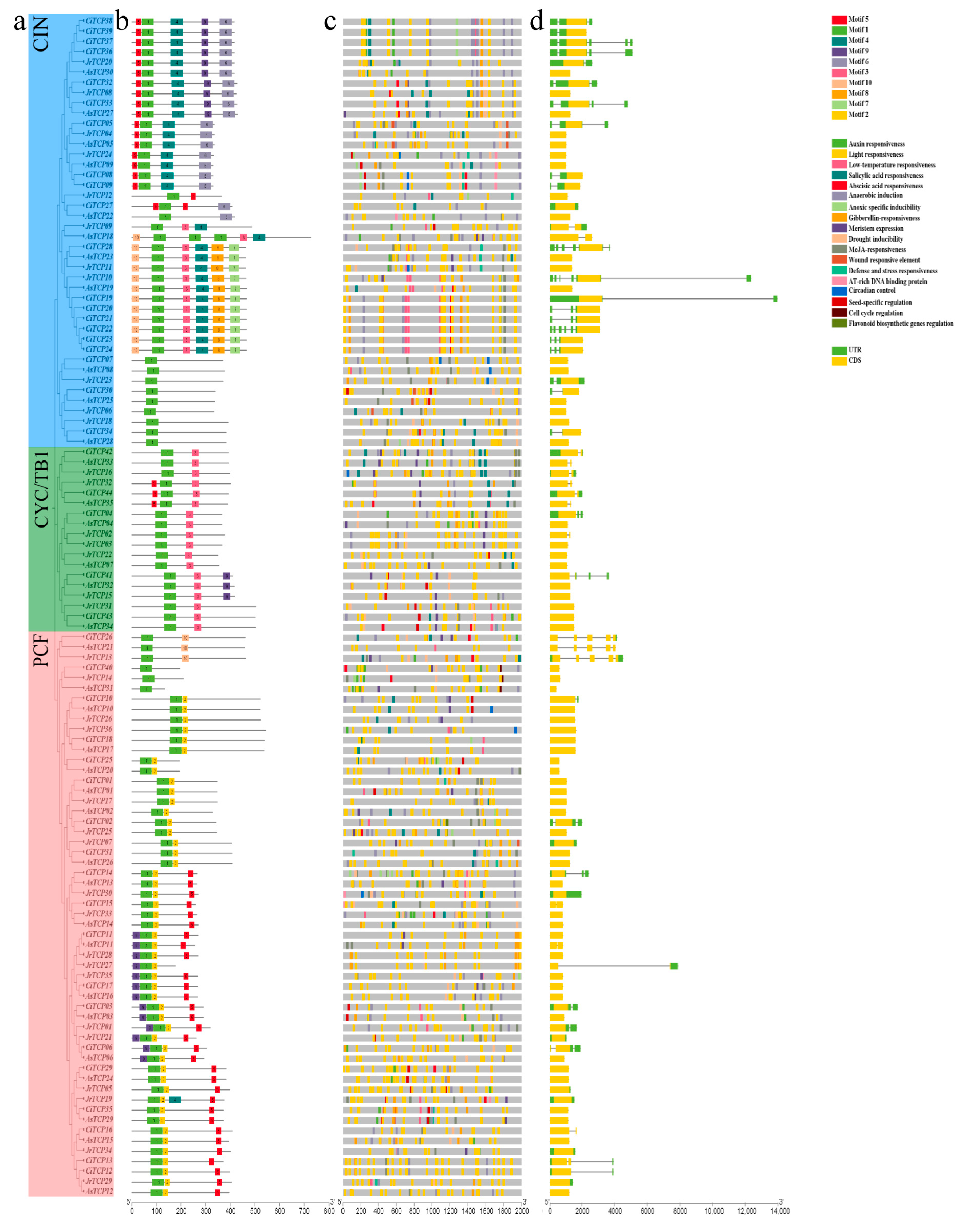 Biology 14 01529 g002 Biology 14 01529 g002