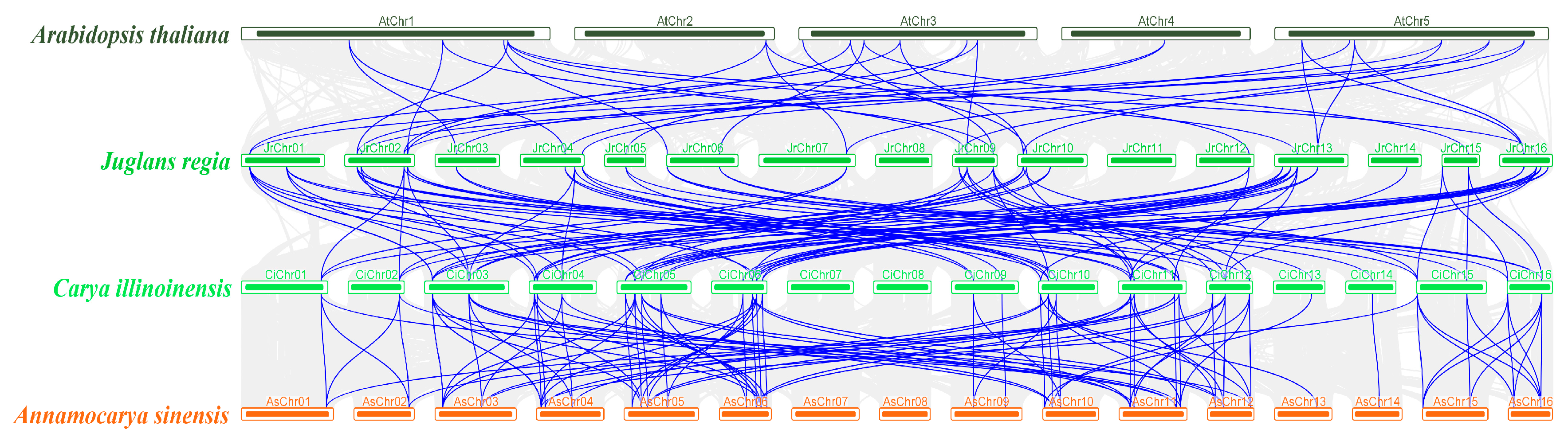 Biology 14 01529 g004 Biology 14 01529 g004