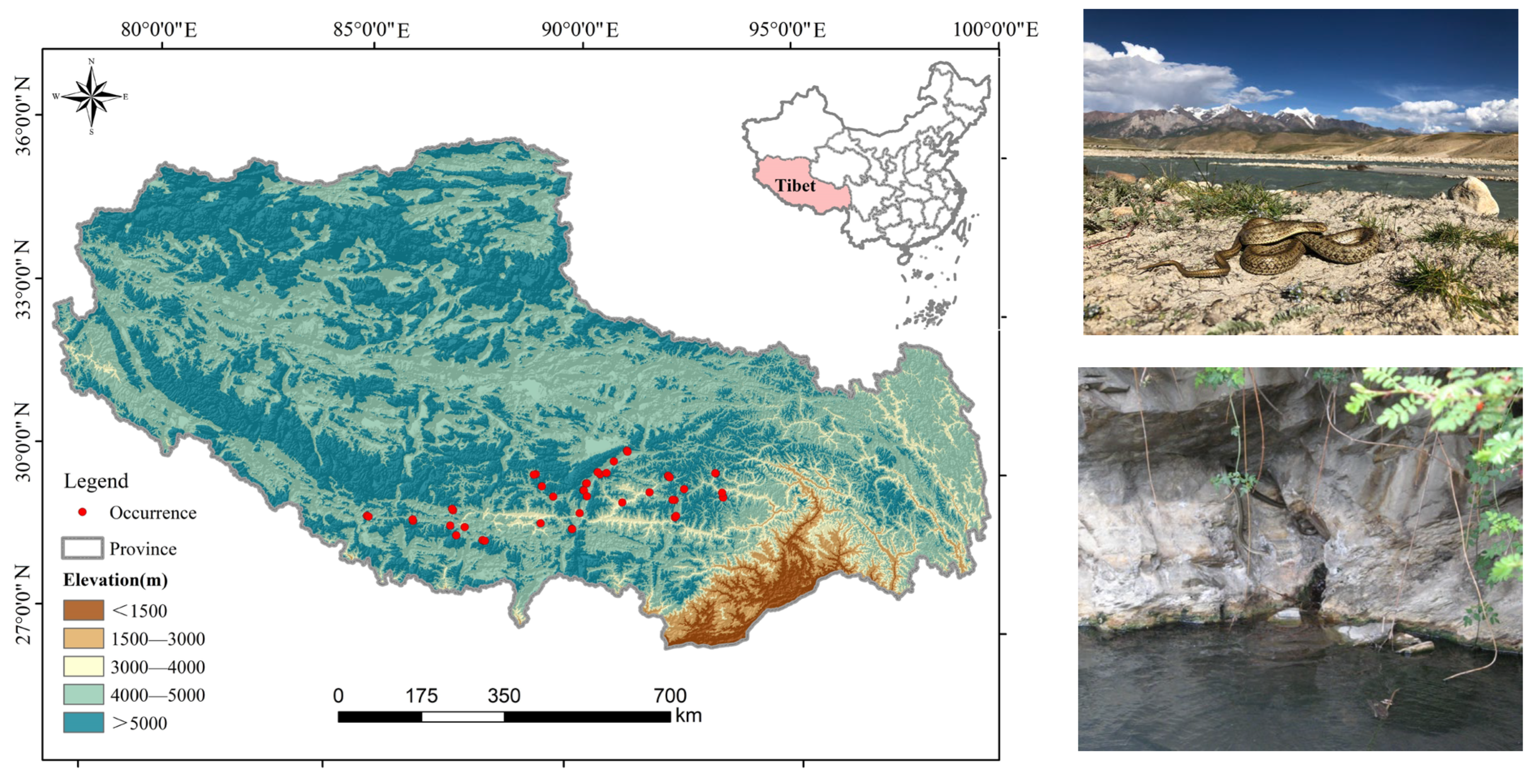 Biology 14 01531 g001