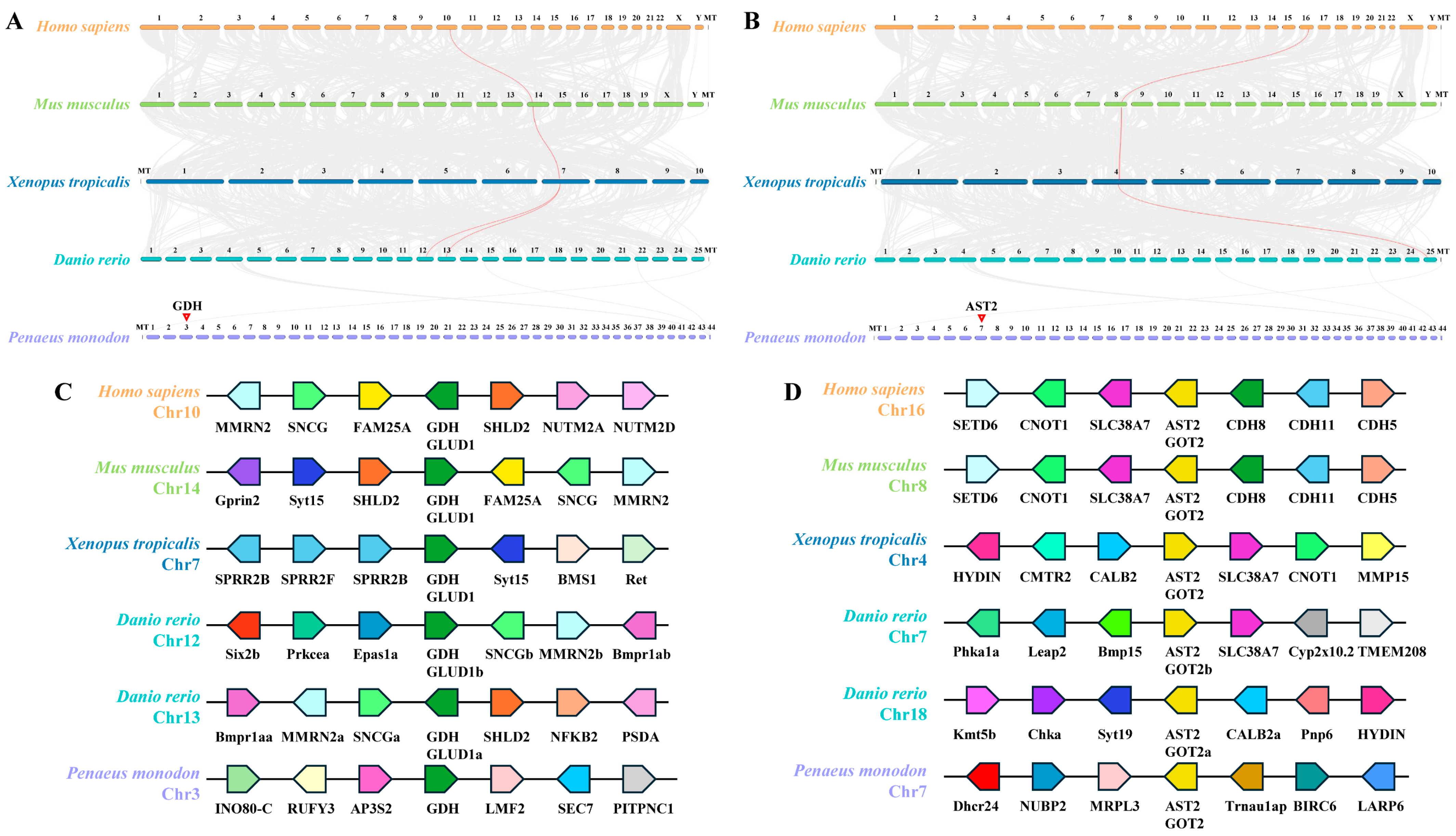 Biology 14 01532 g002 Biology 14 01532 g002