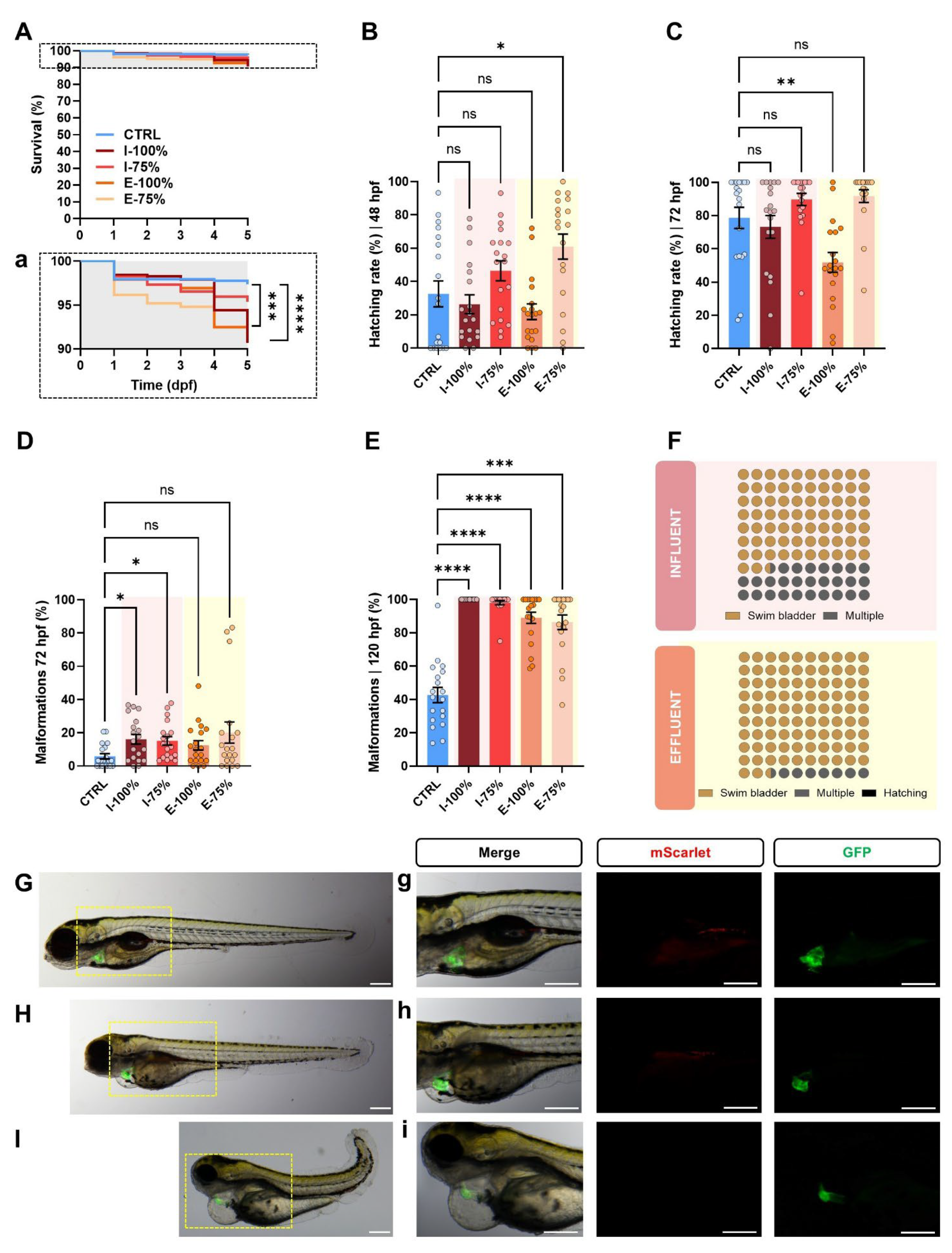 Biology 14 01533 g002 Biology 14 01533 g002