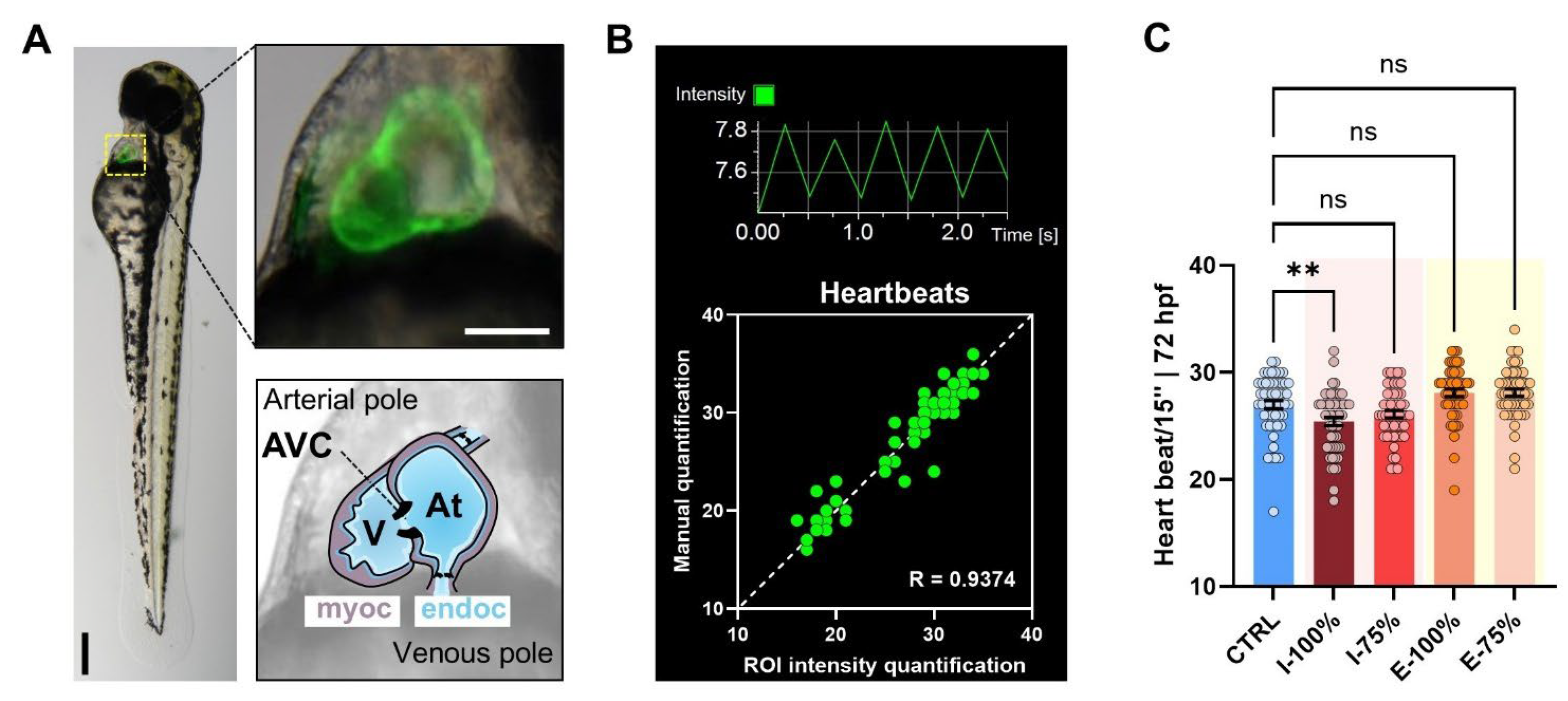 Biology 14 01533 g003 Biology 14 01533 g003