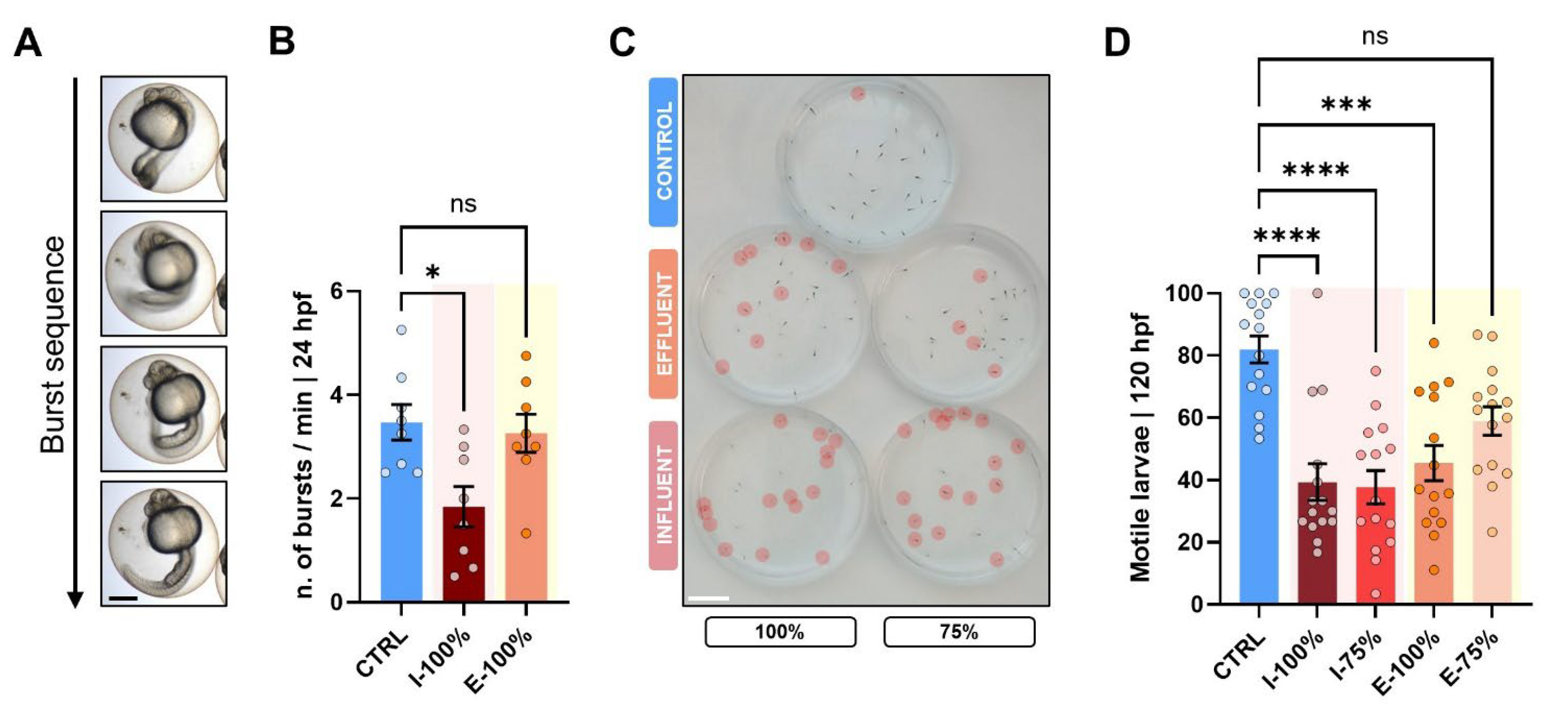 Biology 14 01533 g006 Biology 14 01533 g006