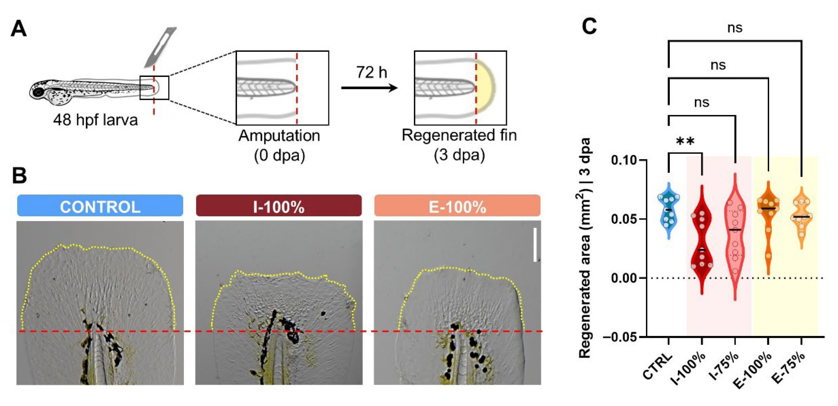 Biology 14 01533 g007 Biology 14 01533 g007