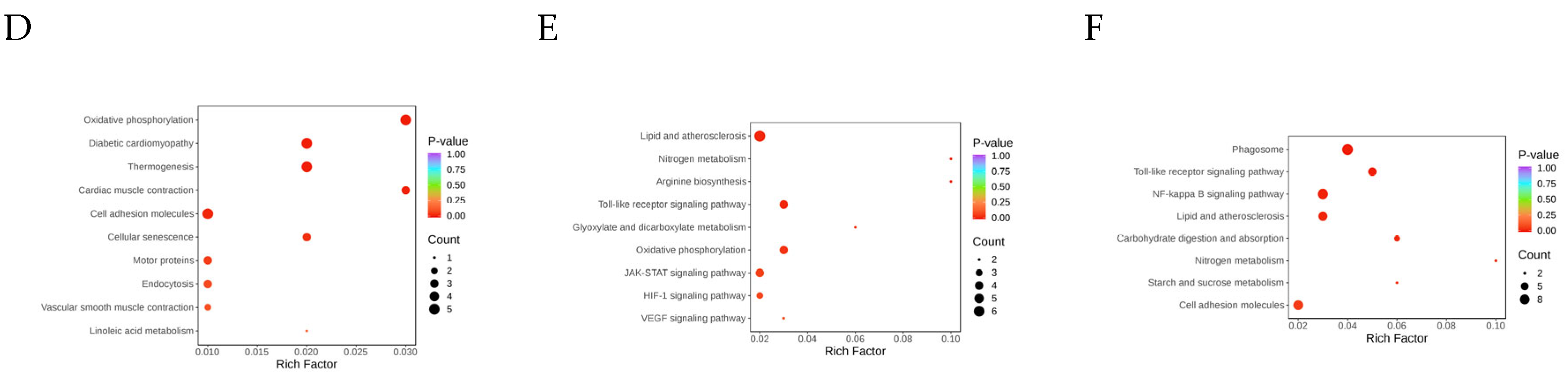 Biology 14 01535 g004b