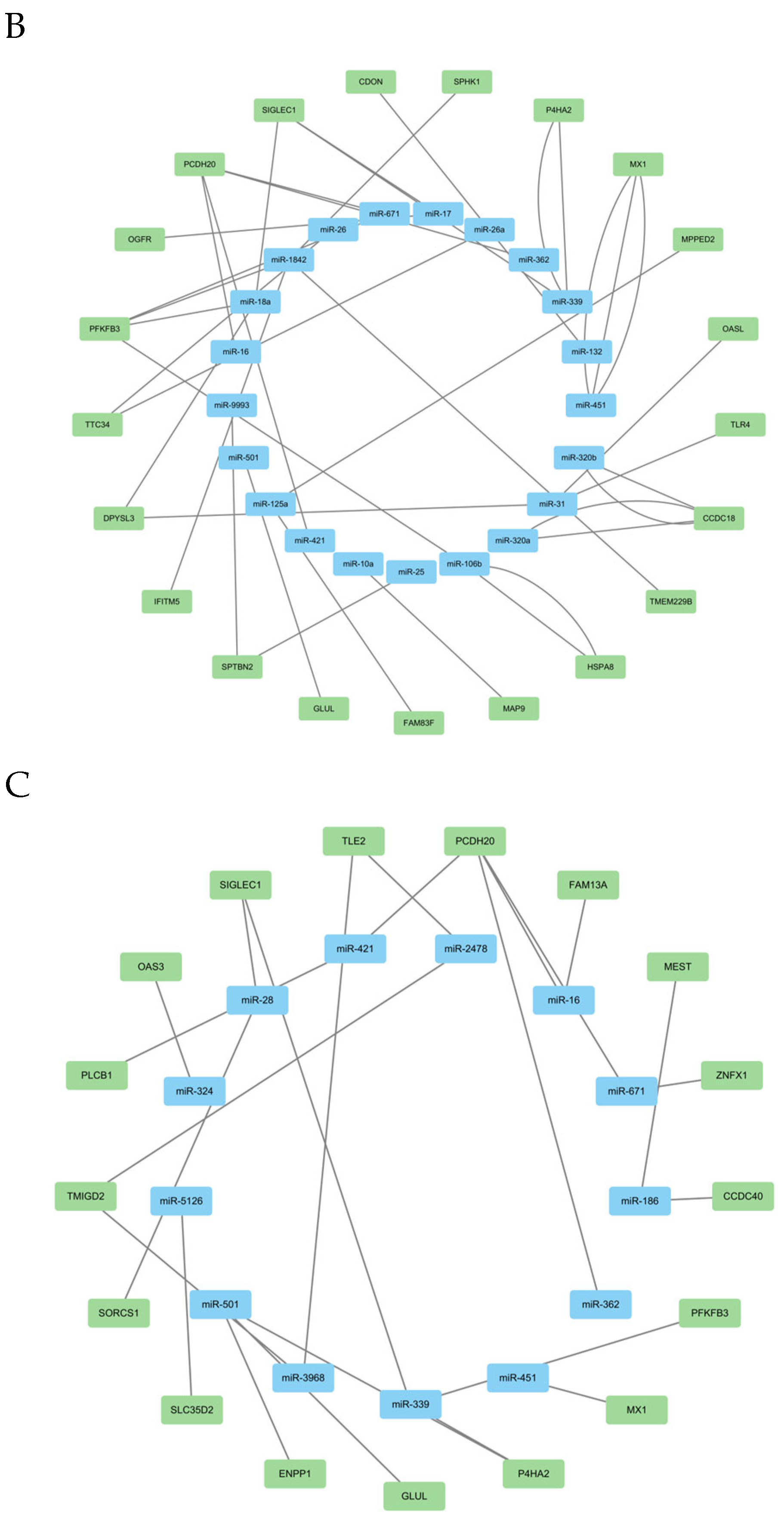 Biology 14 01535 g005b