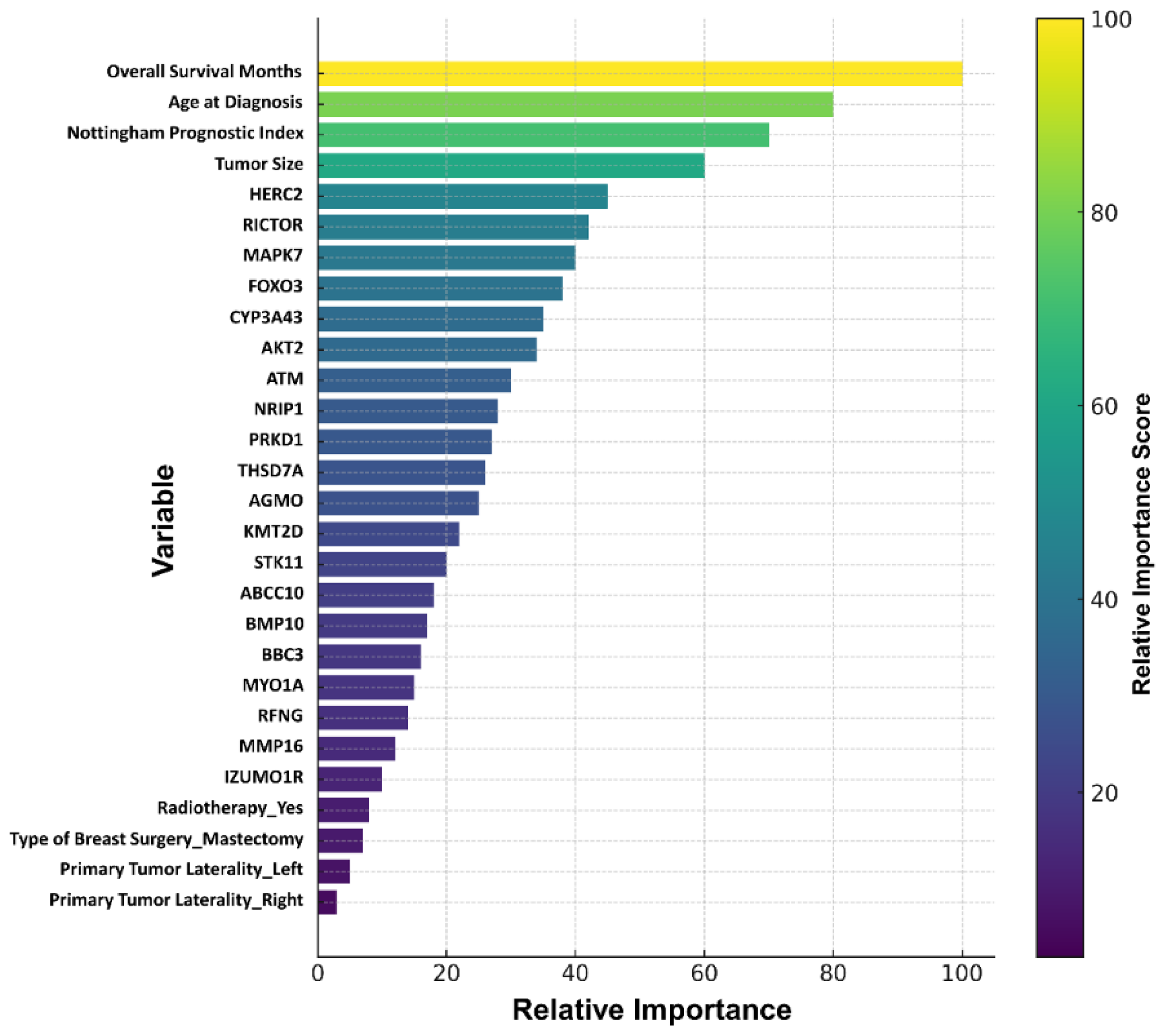 Biology 14 01539 g005 Biology 14 01539 g005