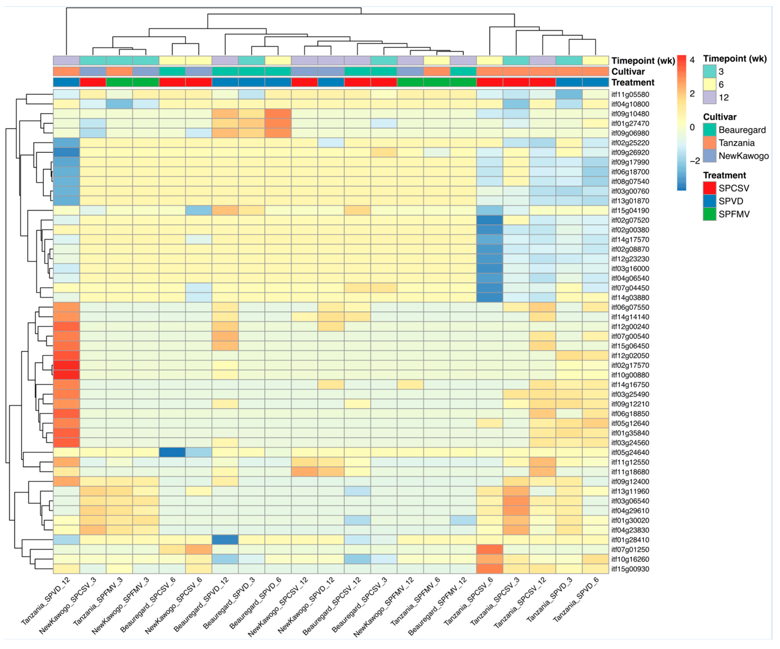 Biology 14 01541 g004 Biology 14 01541 g004