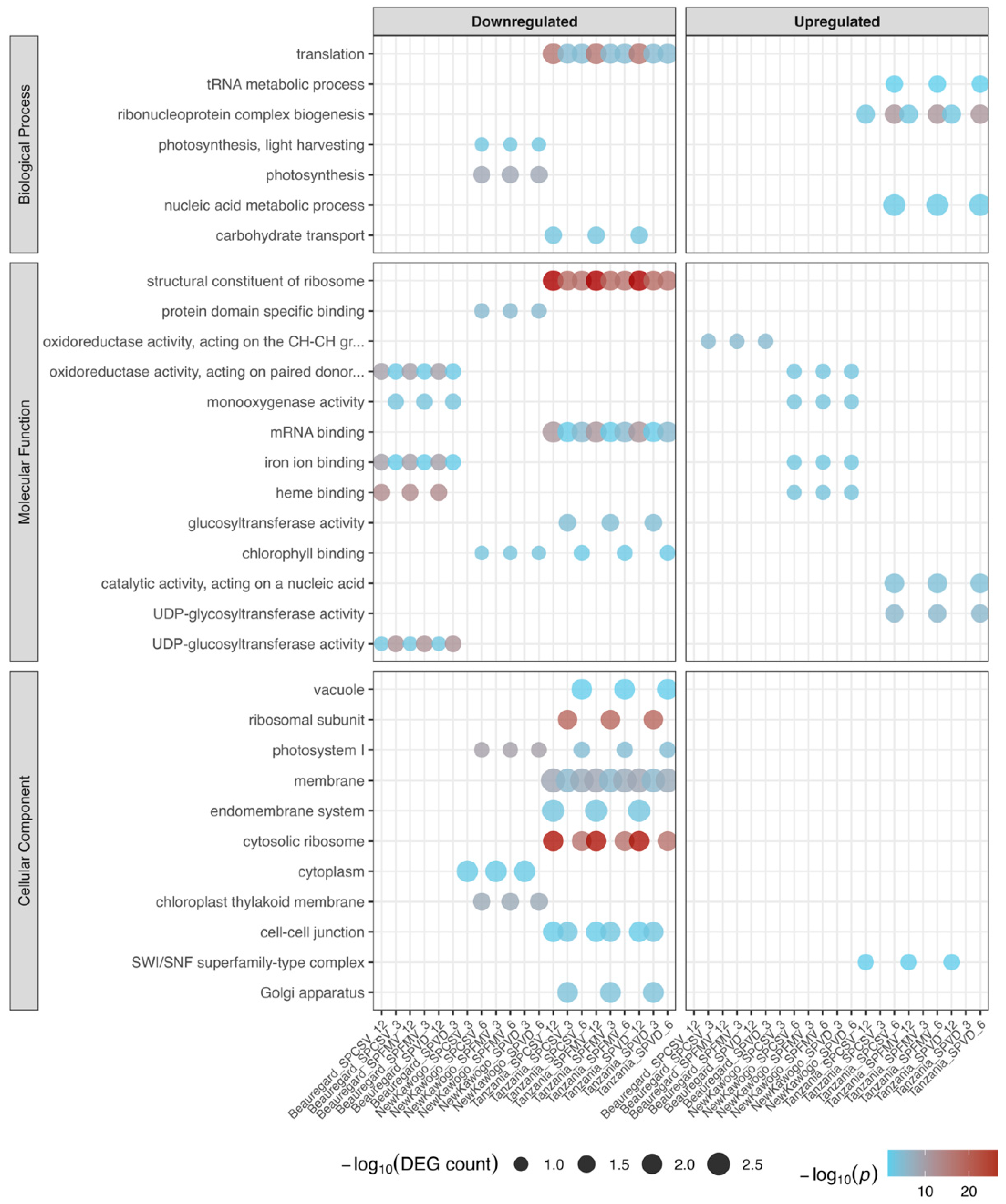 Biology 14 01541 g007 Biology 14 01541 g007