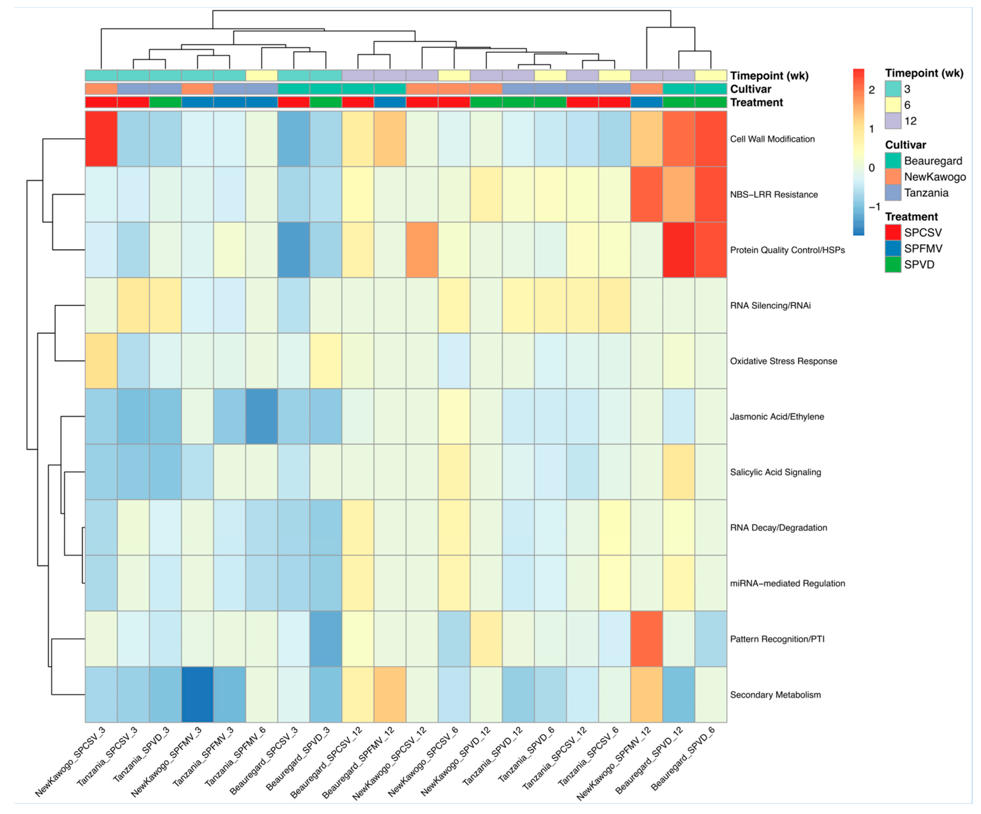 Biology 14 01541 g008 Biology 14 01541 g008