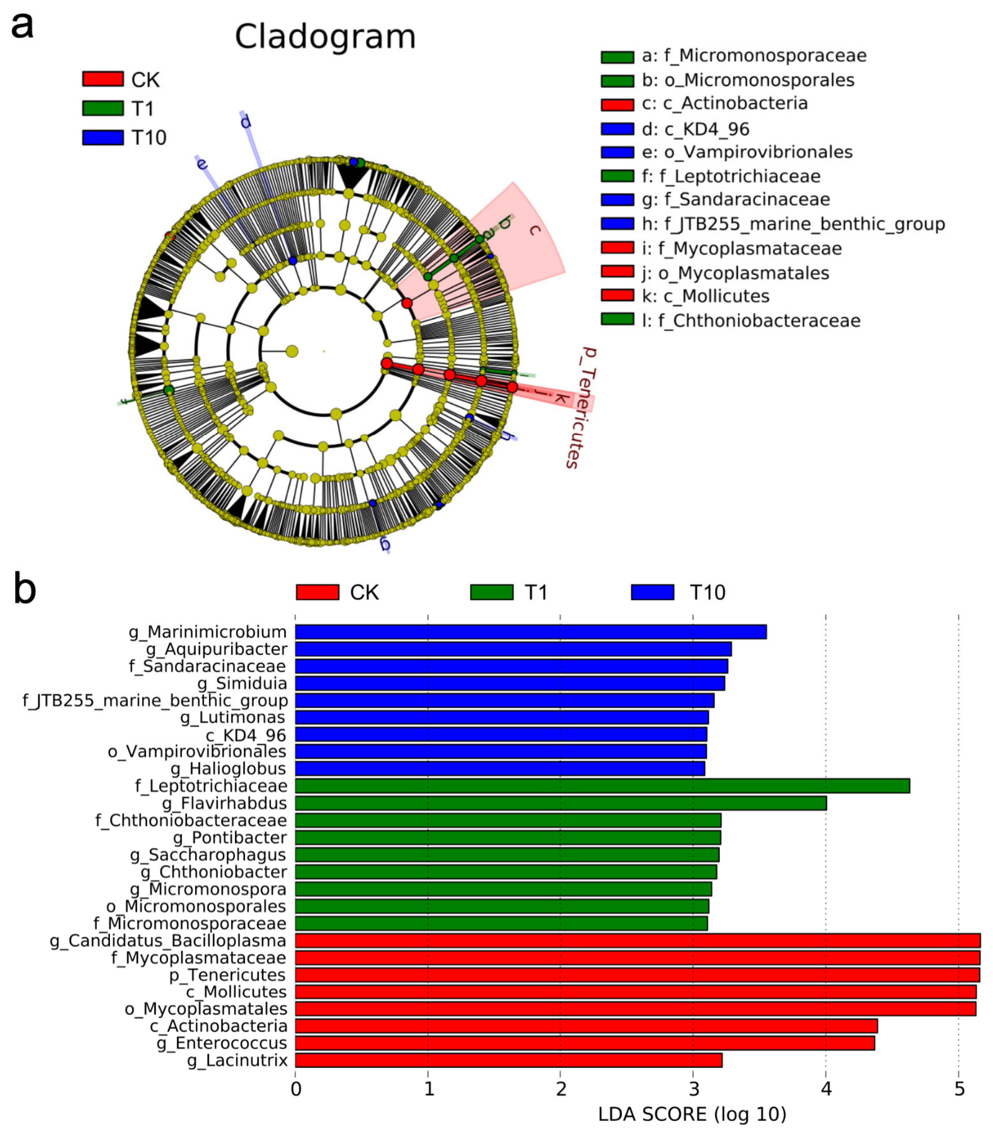 Biology 14 01542 g005 Biology 14 01542 g005