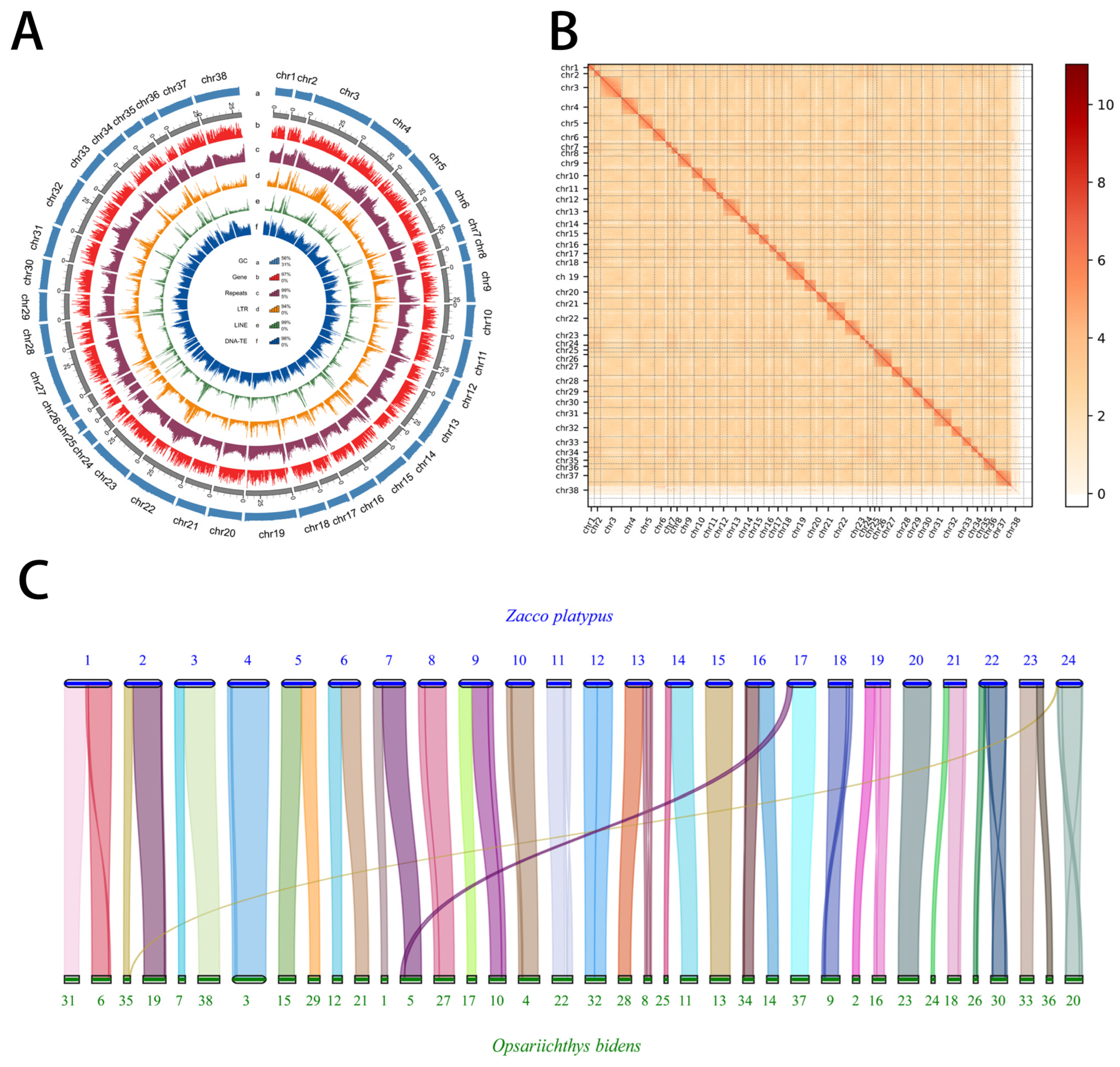 Biology 14 01544 g003 Biology 14 01544 g003