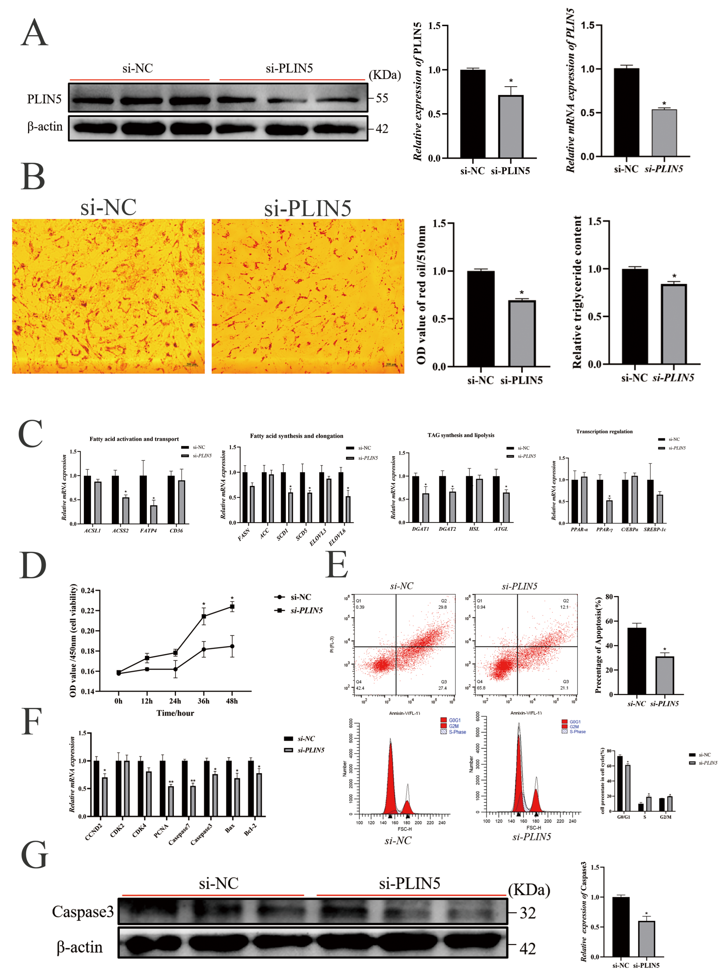 Biology 14 01547 g003 Biology 14 01547 g003