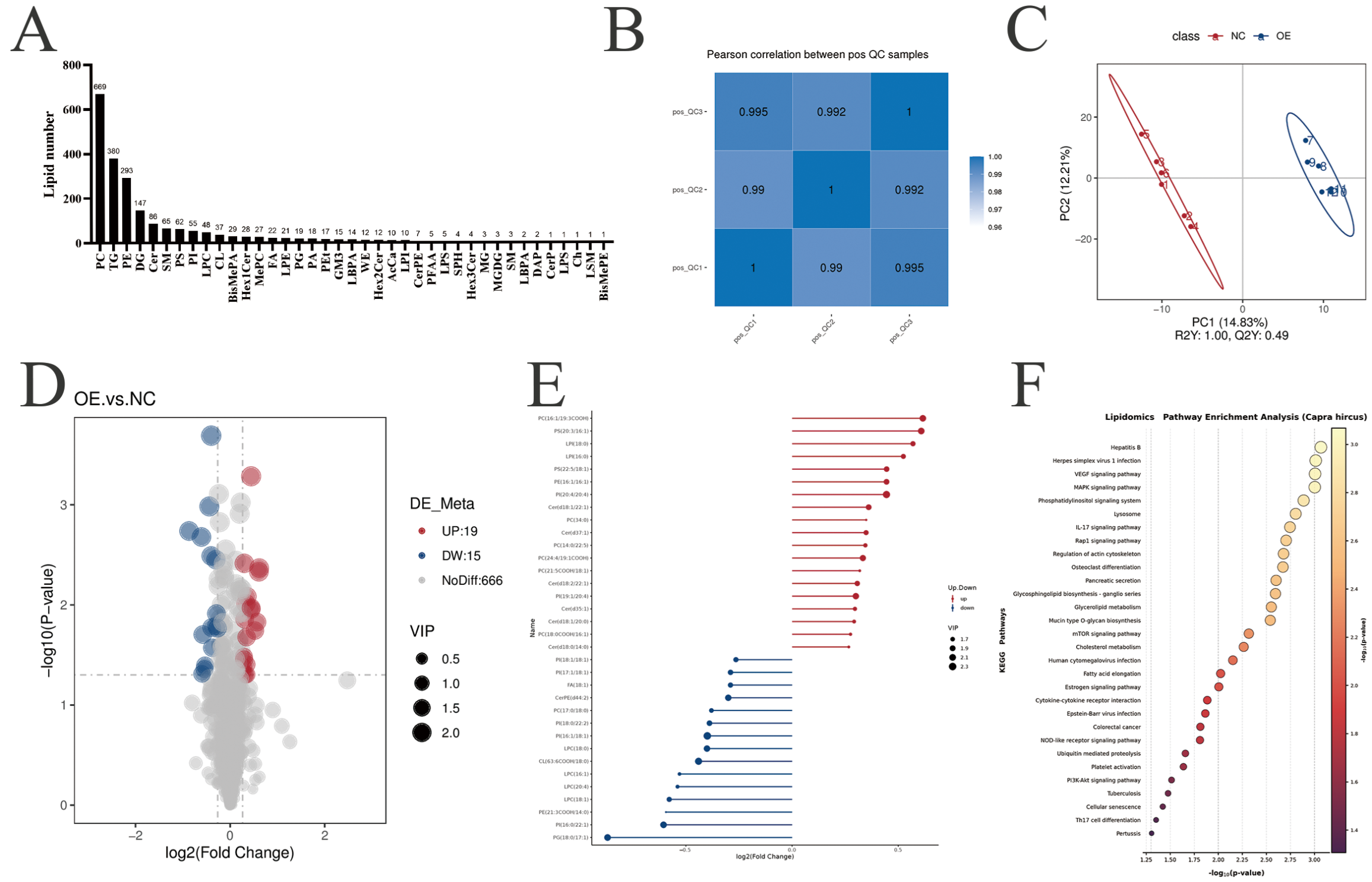 Biology 14 01547 g004 Biology 14 01547 g004