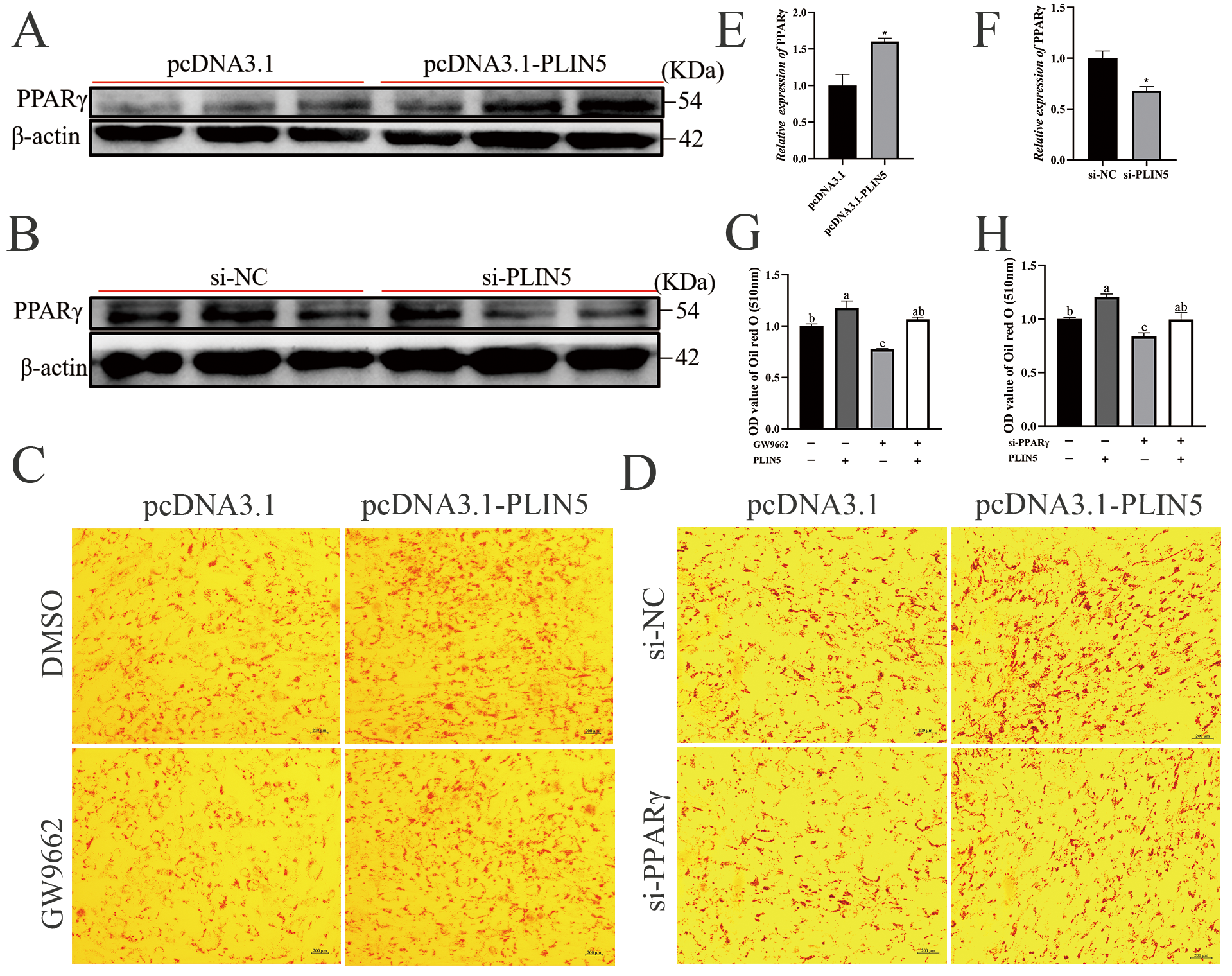 Biology 14 01547 g006 Biology 14 01547 g006