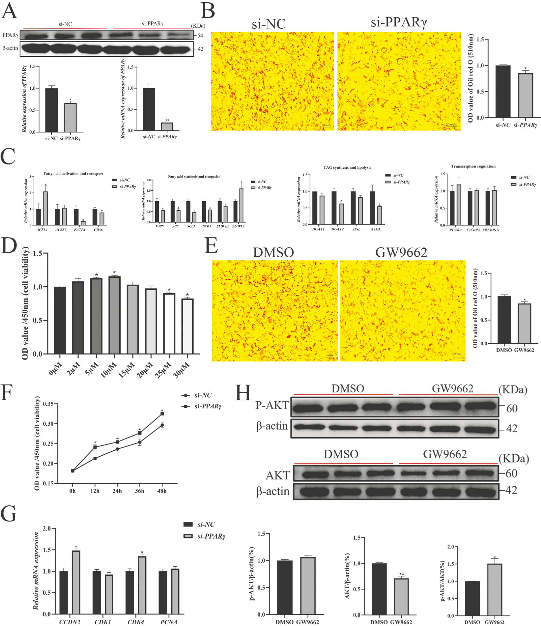 Biology 14 01547 g007 Biology 14 01547 g007