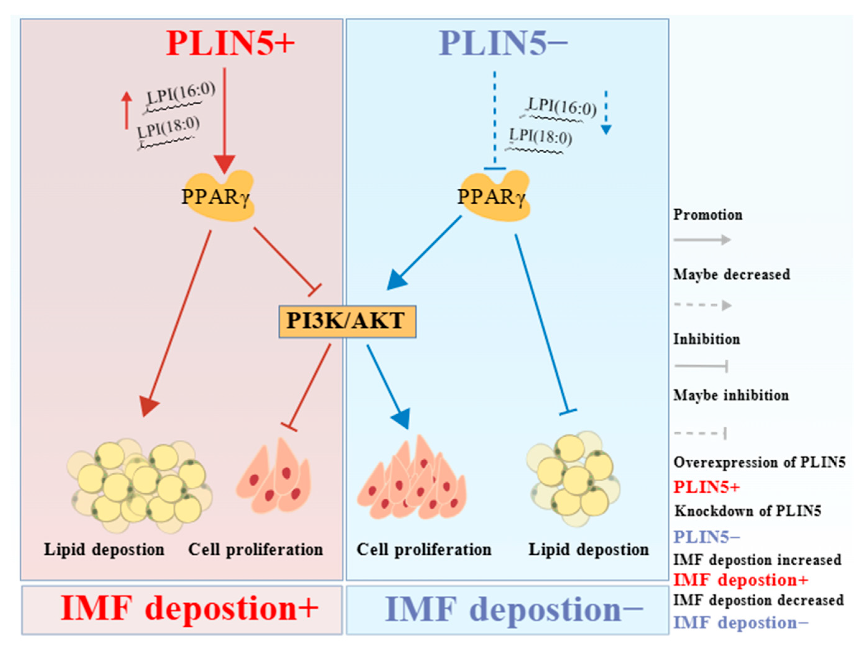 Biology 14 01547 g008 Biology 14 01547 g008