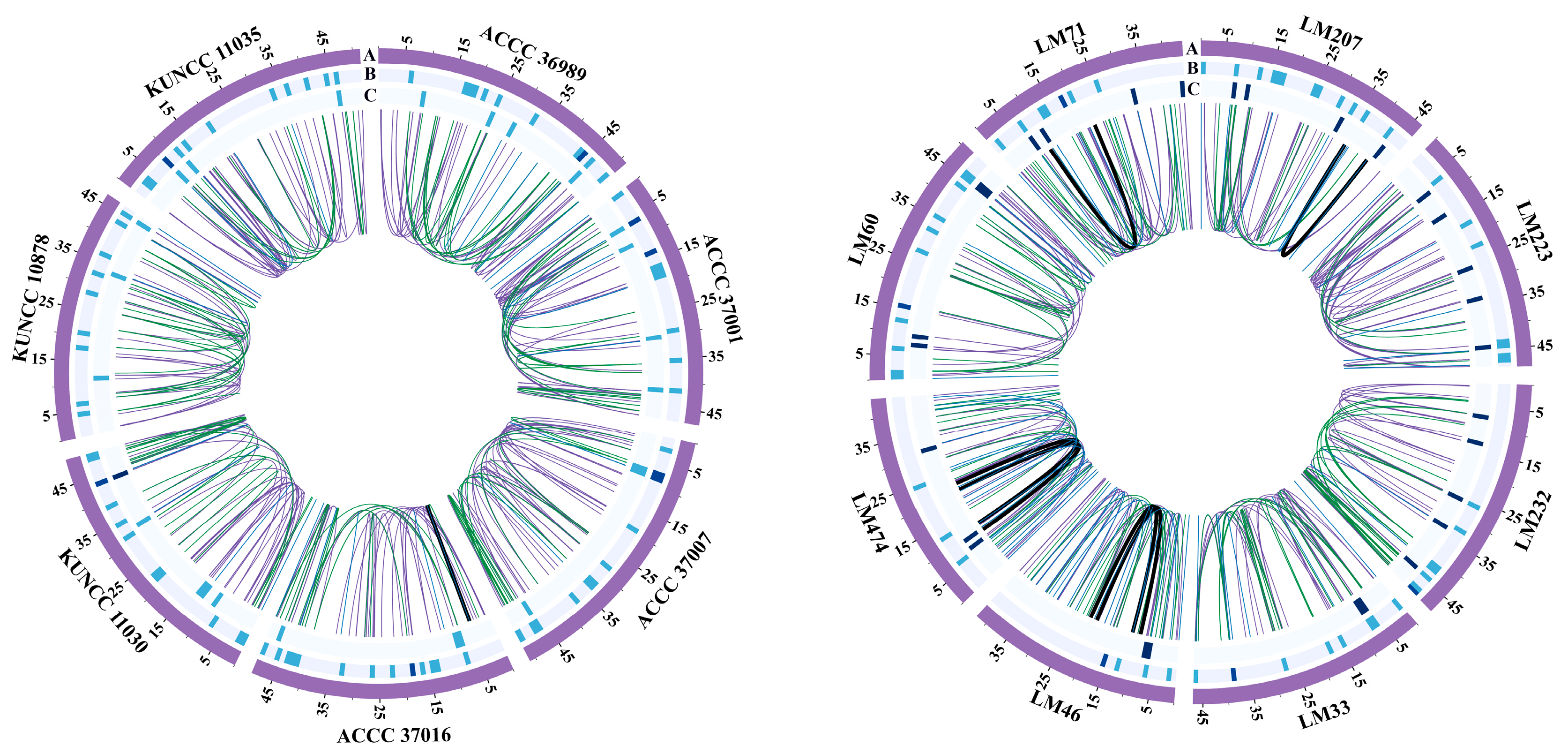 Biology 14 01548 g006 Biology 14 01548 g006