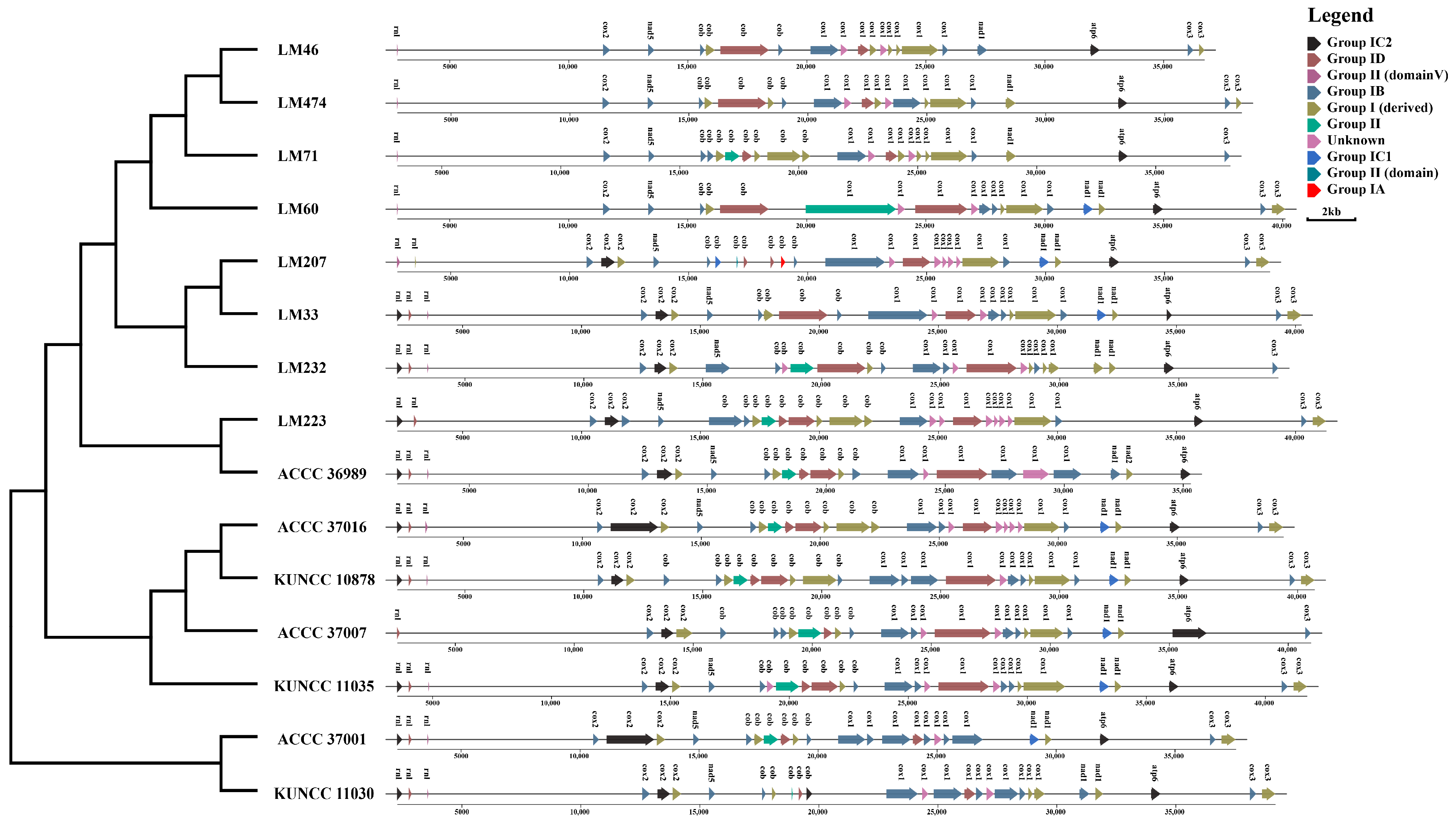 Biology 14 01548 g008 Biology 14 01548 g008
