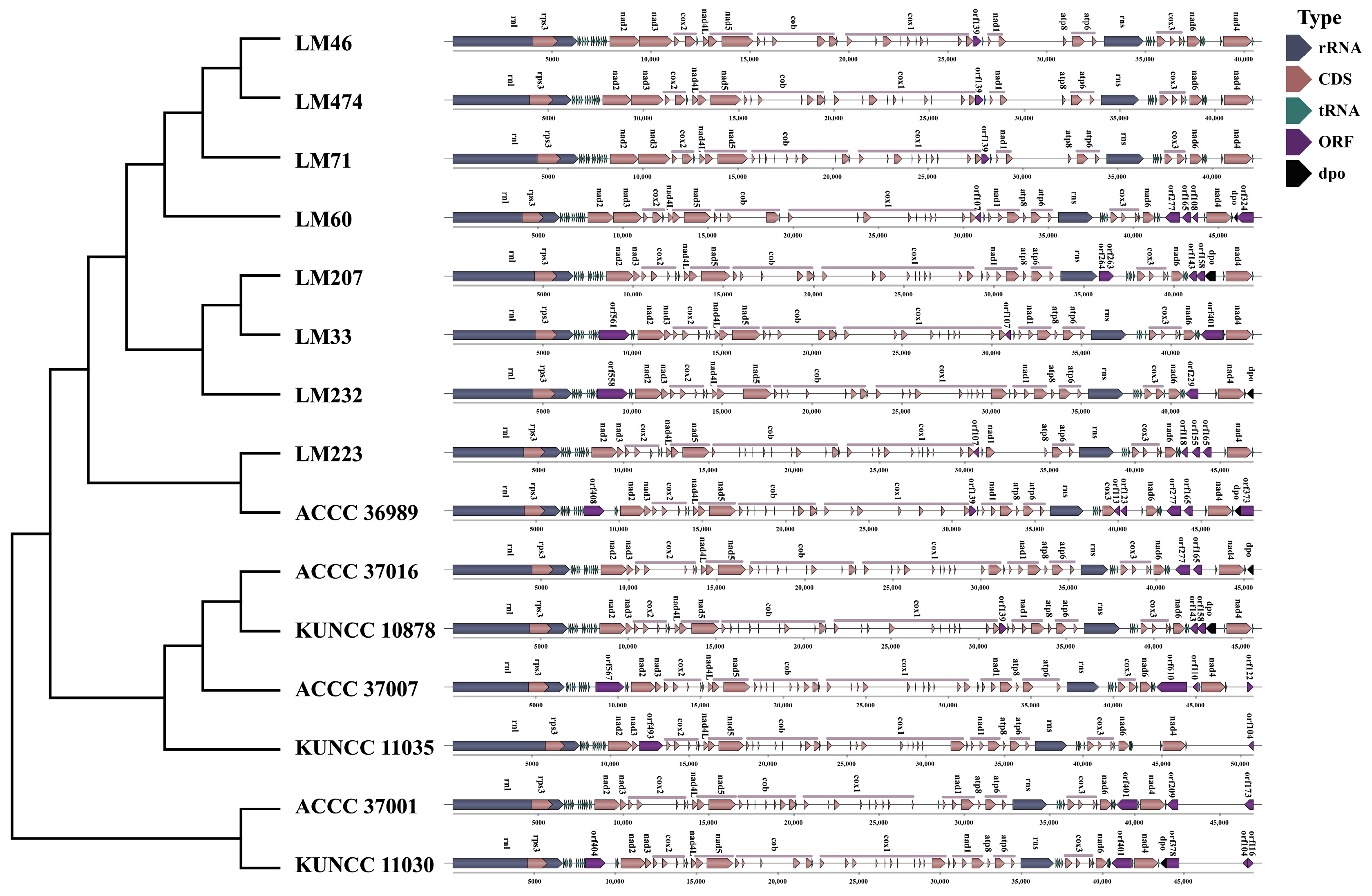 Biology 14 01548 g009 Biology 14 01548 g009