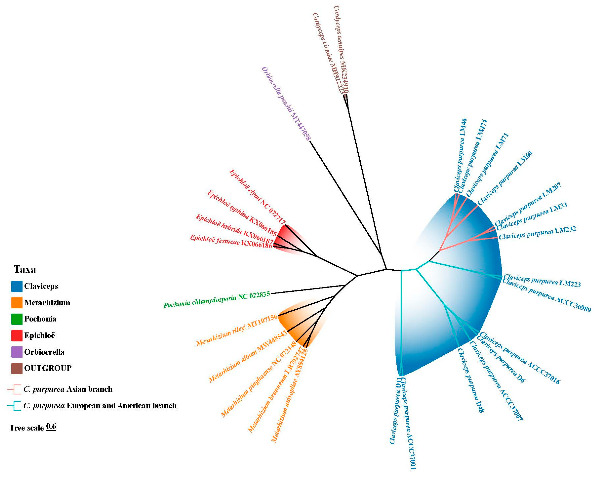 Biology 14 01548 g011 Biology 14 01548 g011