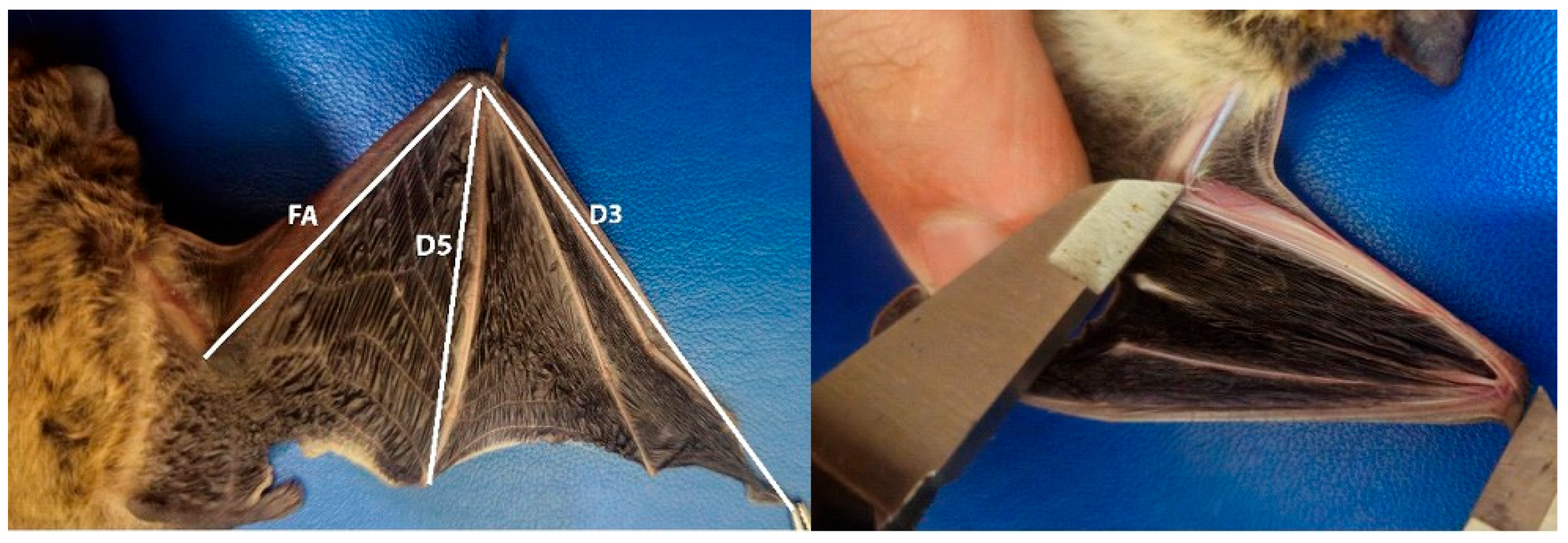 Biology 14 01549 g001 Biology 14 01549 g001