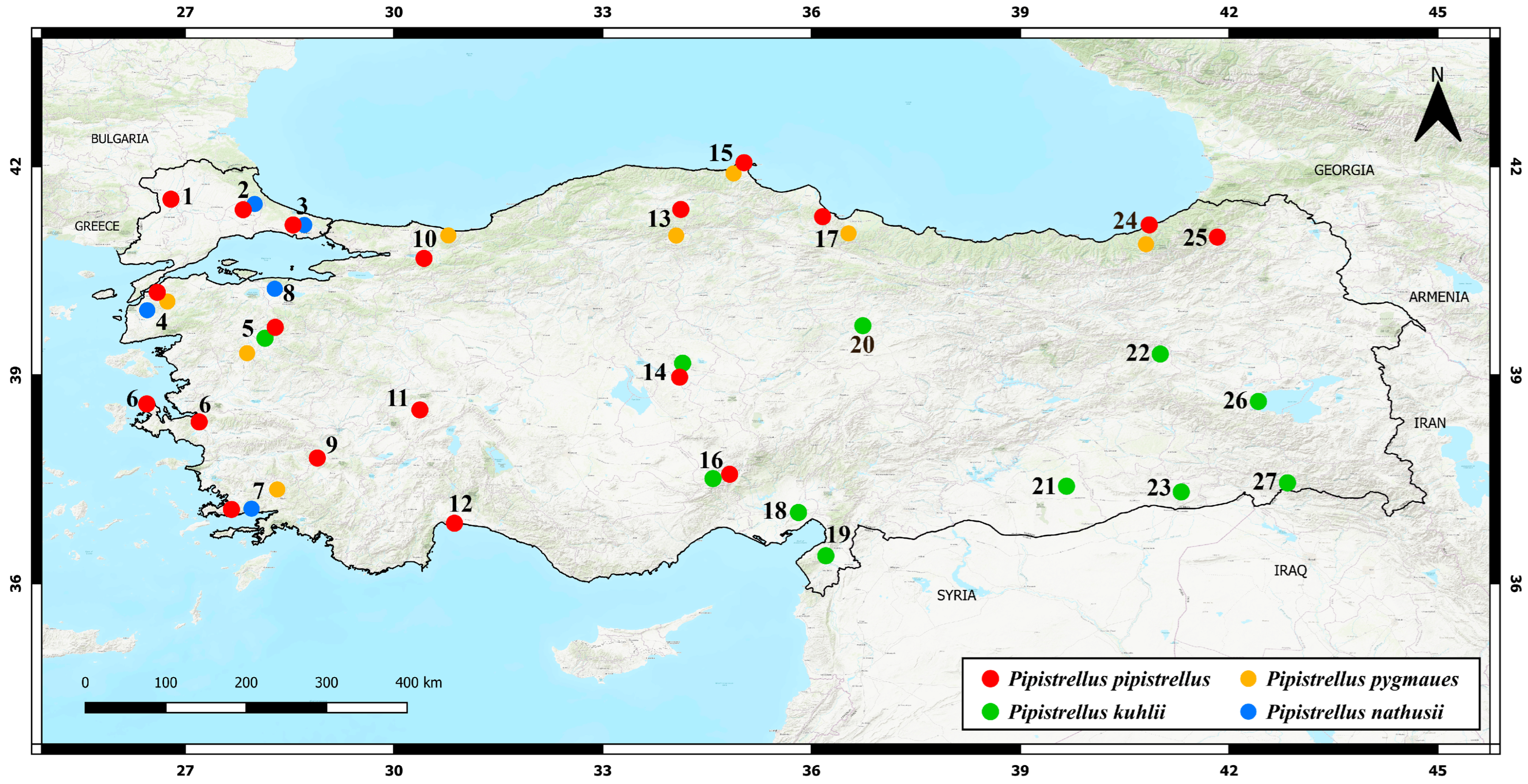Biology 14 01549 g003 Biology 14 01549 g003