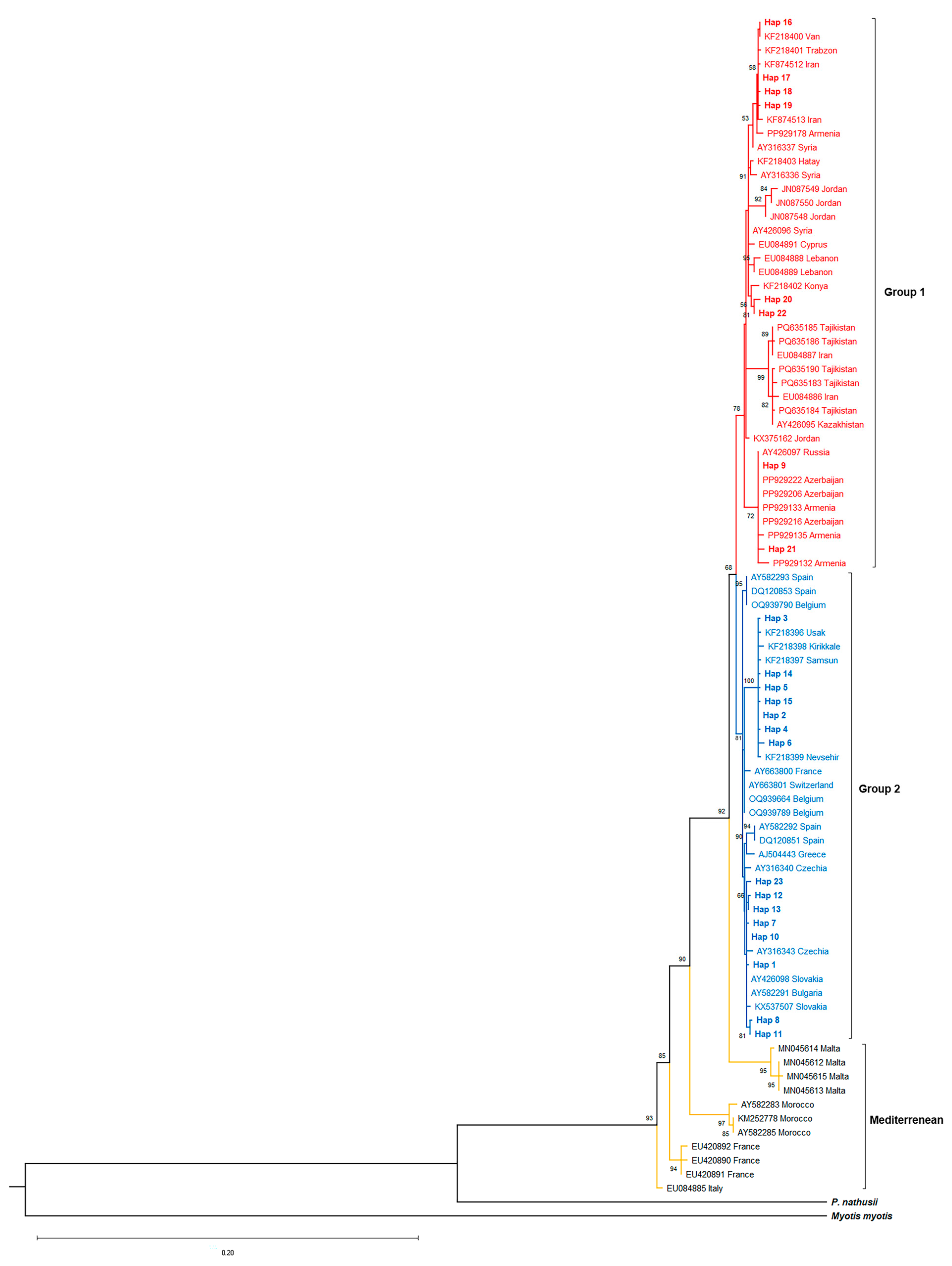 Biology 14 01549 g004 Biology 14 01549 g004