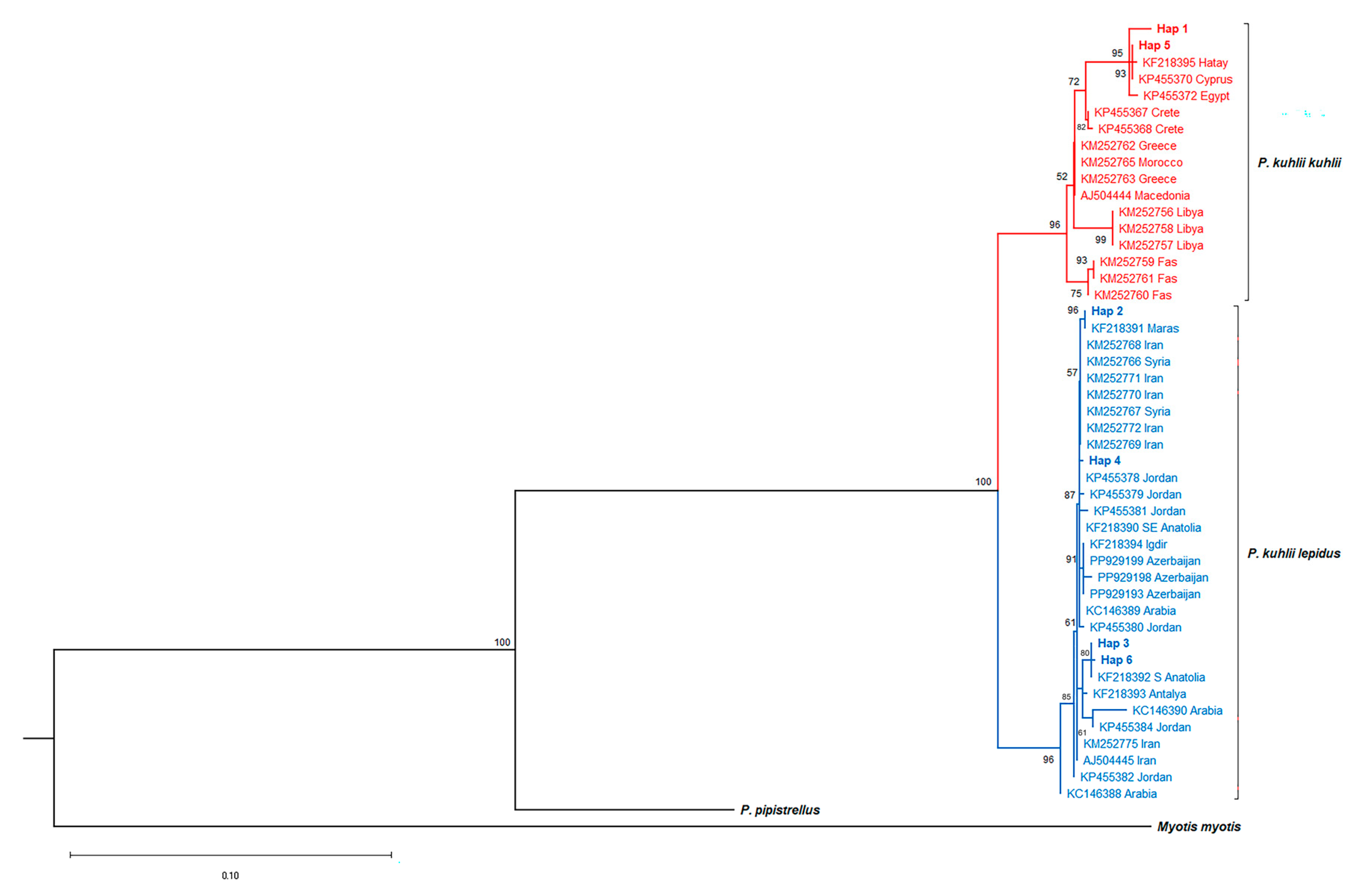 Biology 14 01549 g005 Biology 14 01549 g005