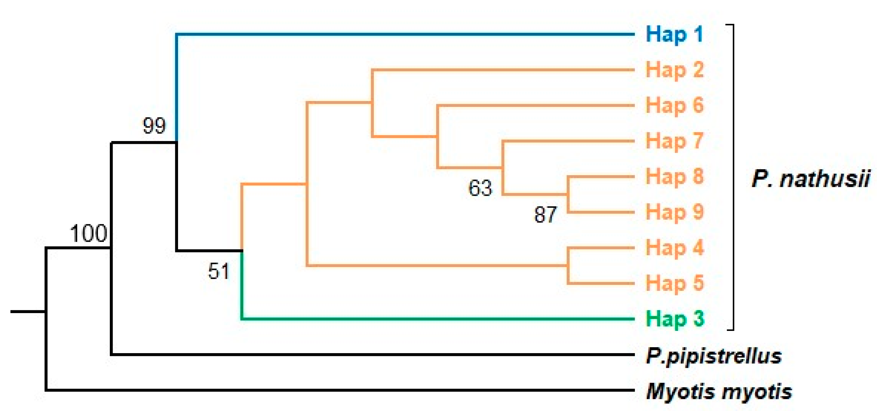 Biology 14 01549 g006 Biology 14 01549 g006