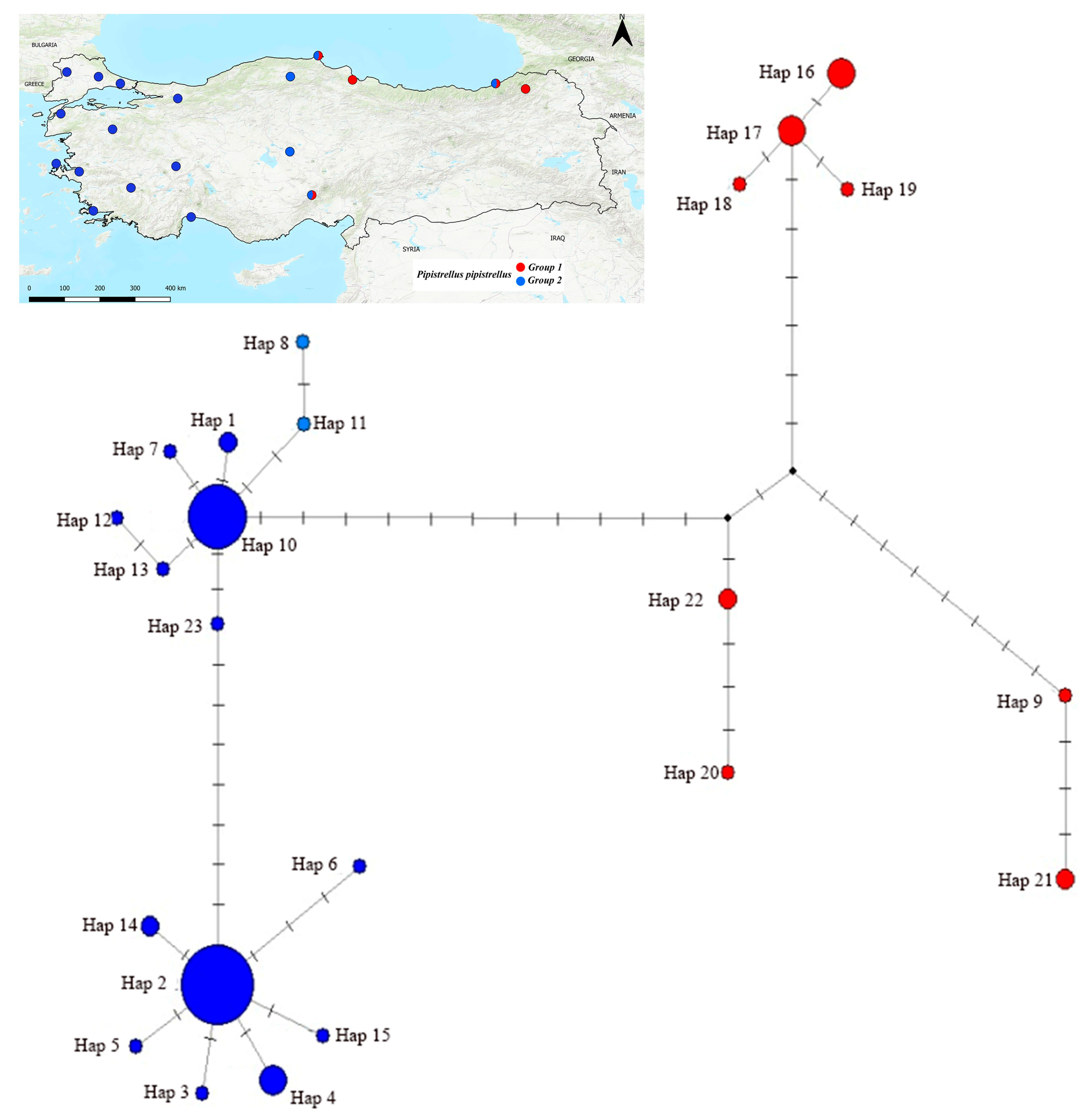 Biology 14 01549 g011 Biology 14 01549 g011