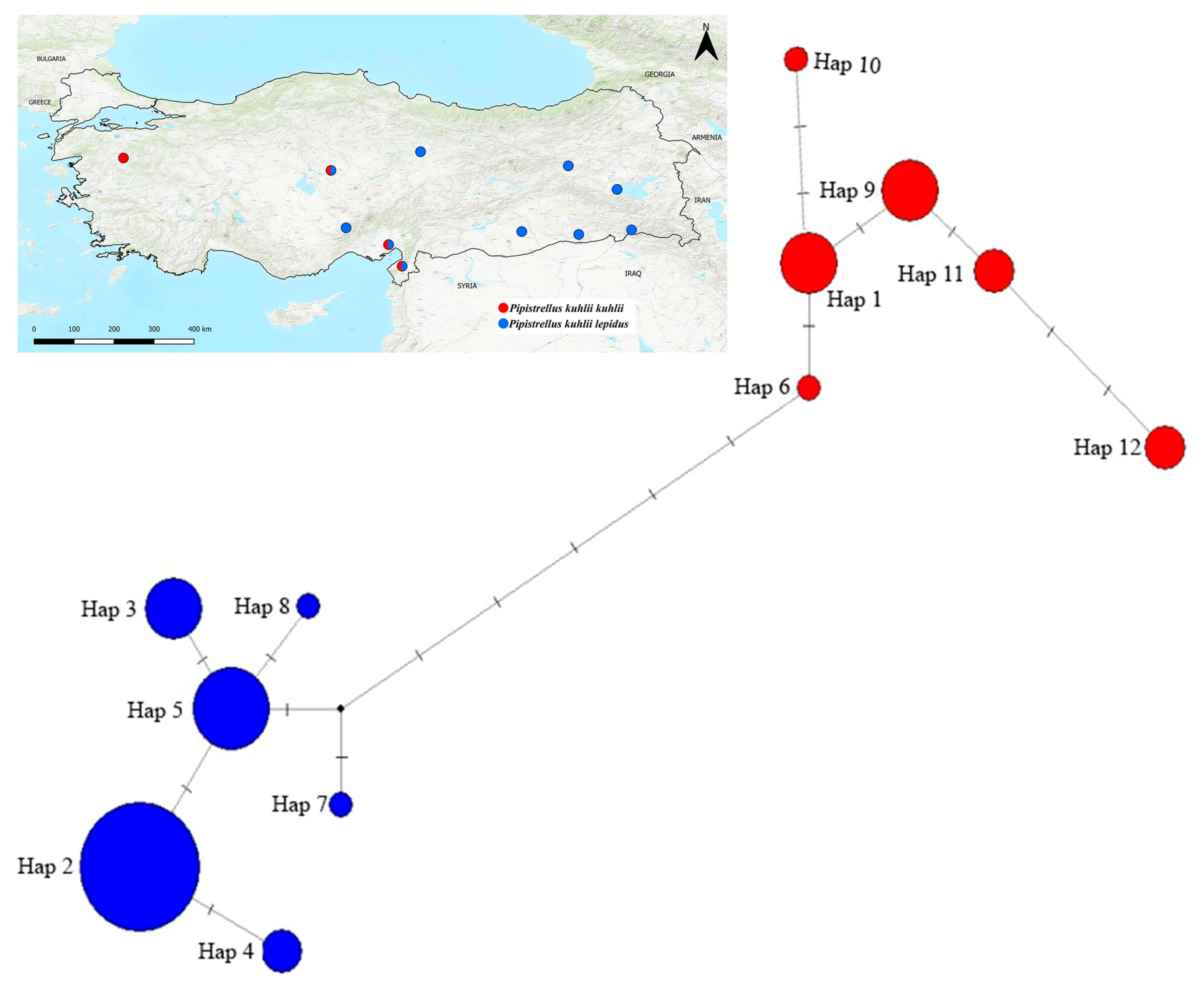 Biology 14 01549 g012 Biology 14 01549 g012