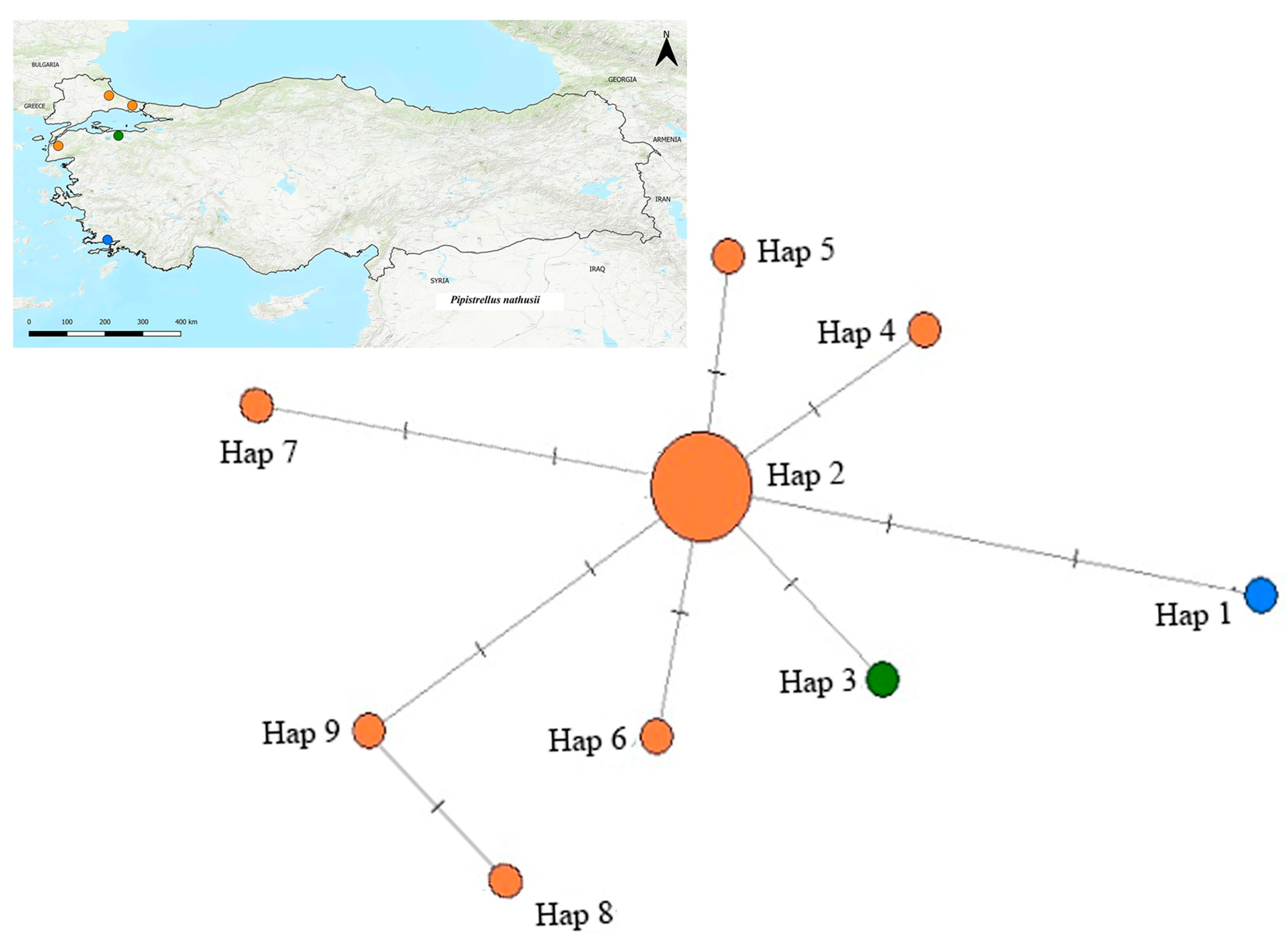Biology 14 01549 g013 Biology 14 01549 g013