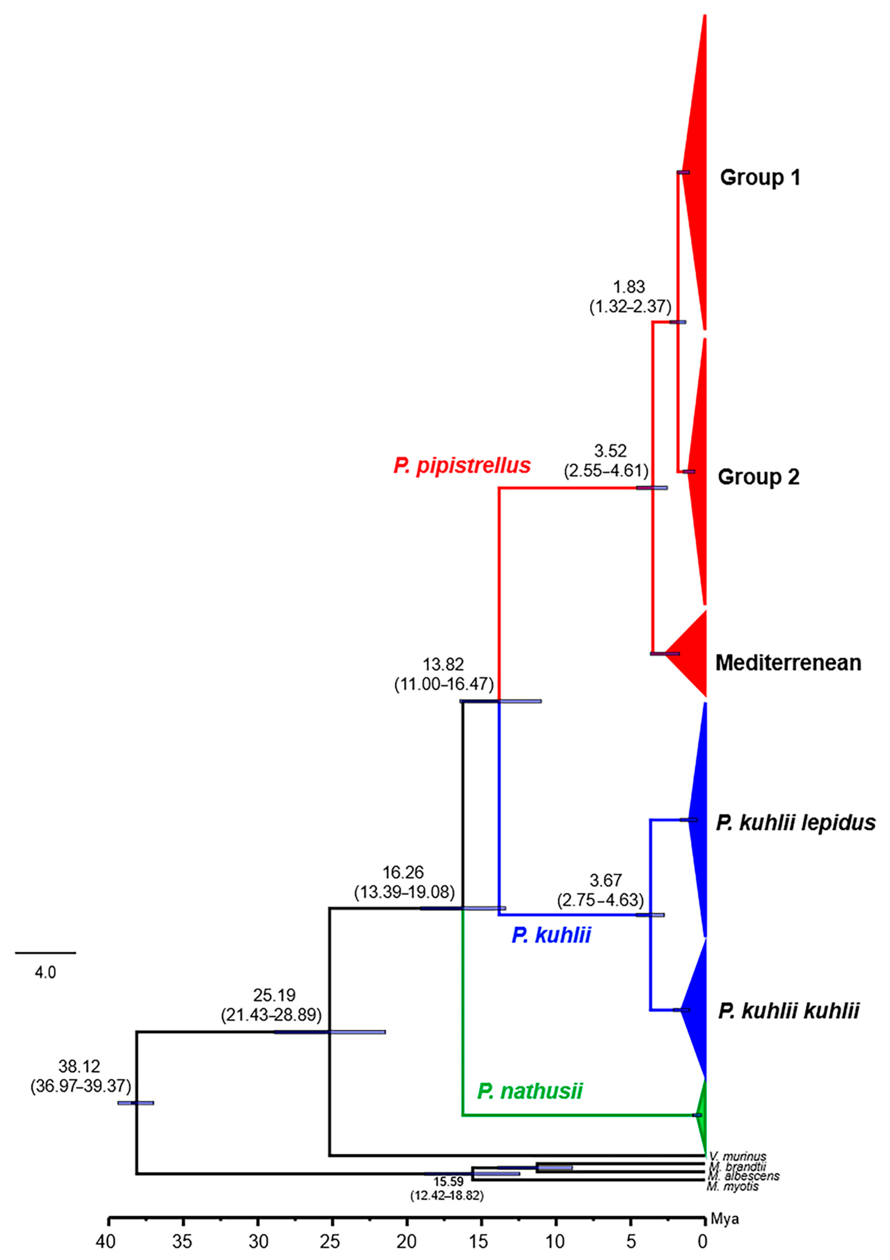 Biology 14 01549 g014 Biology 14 01549 g014