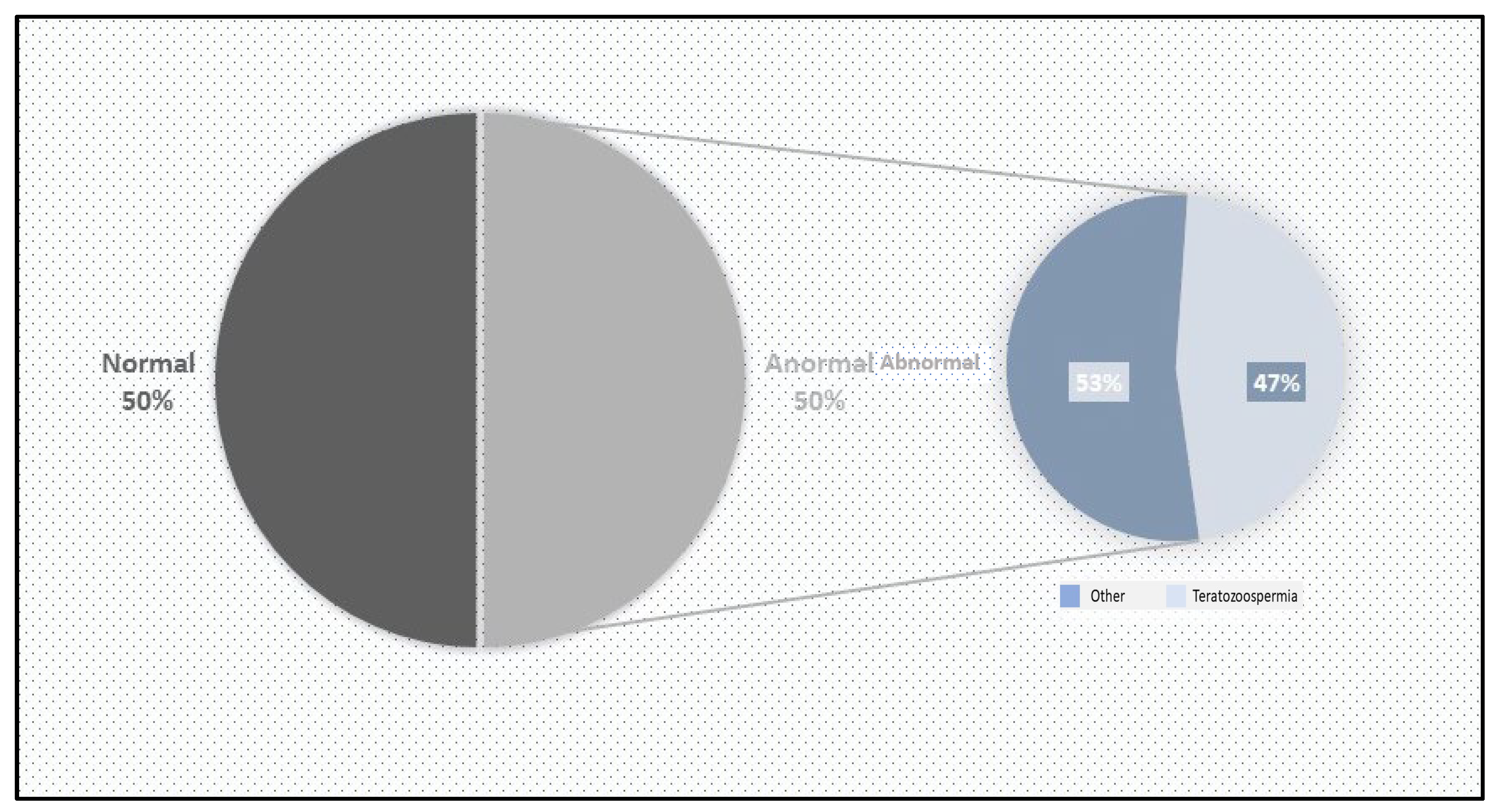Biology 14 01550 g001