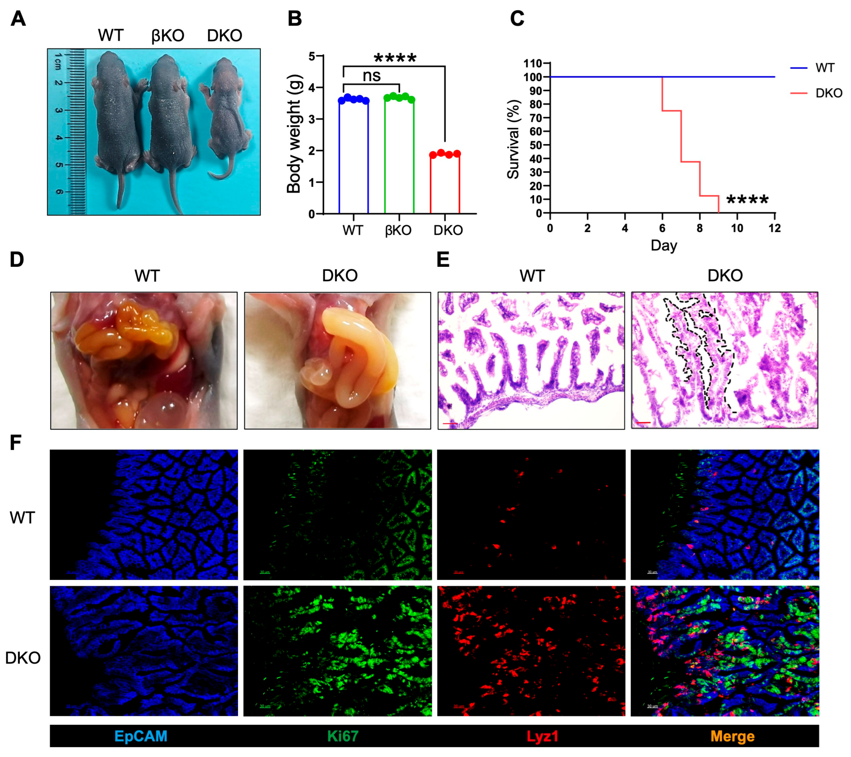 Biology 14 01551 g002 Biology 14 01551 g002