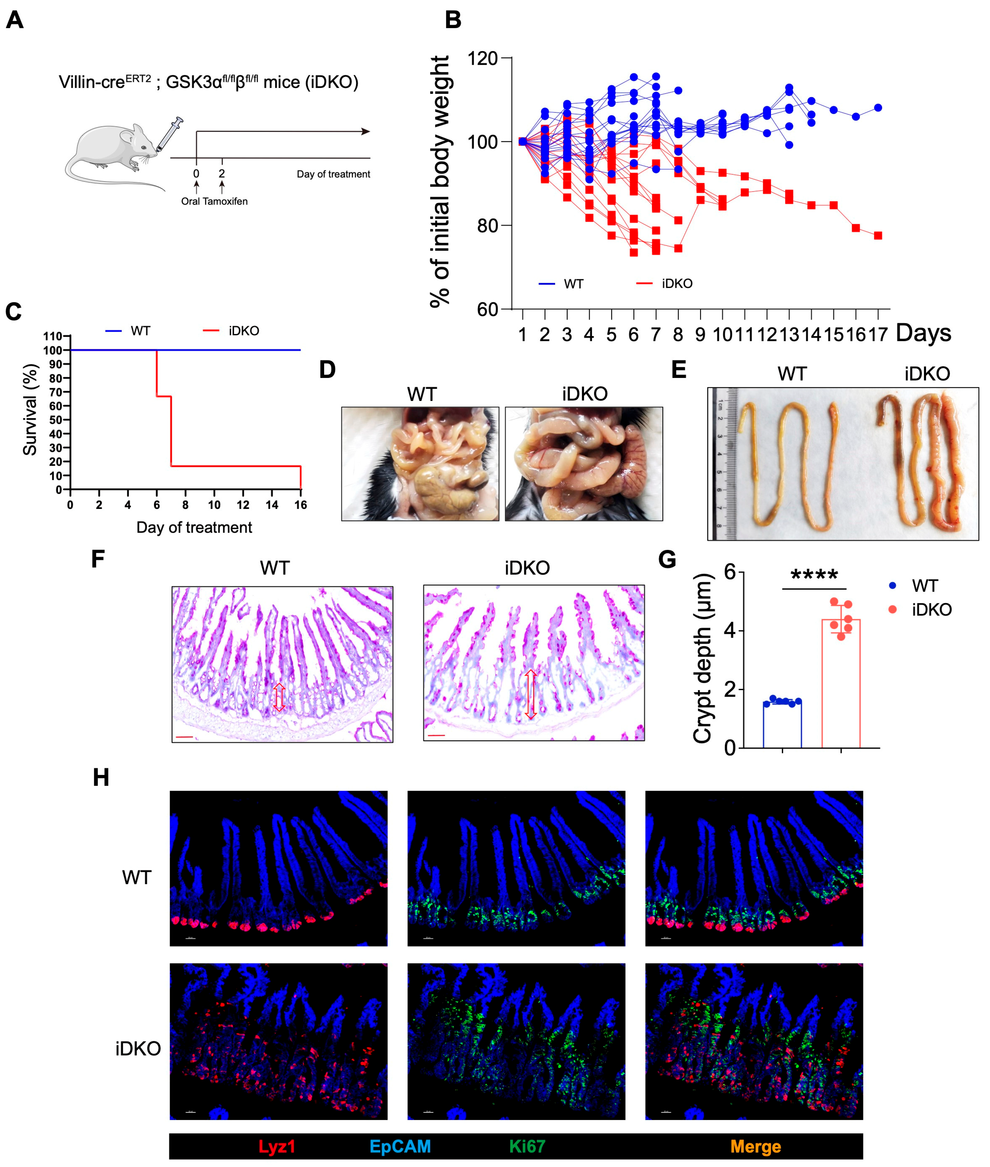 Biology 14 01551 g003 Biology 14 01551 g003