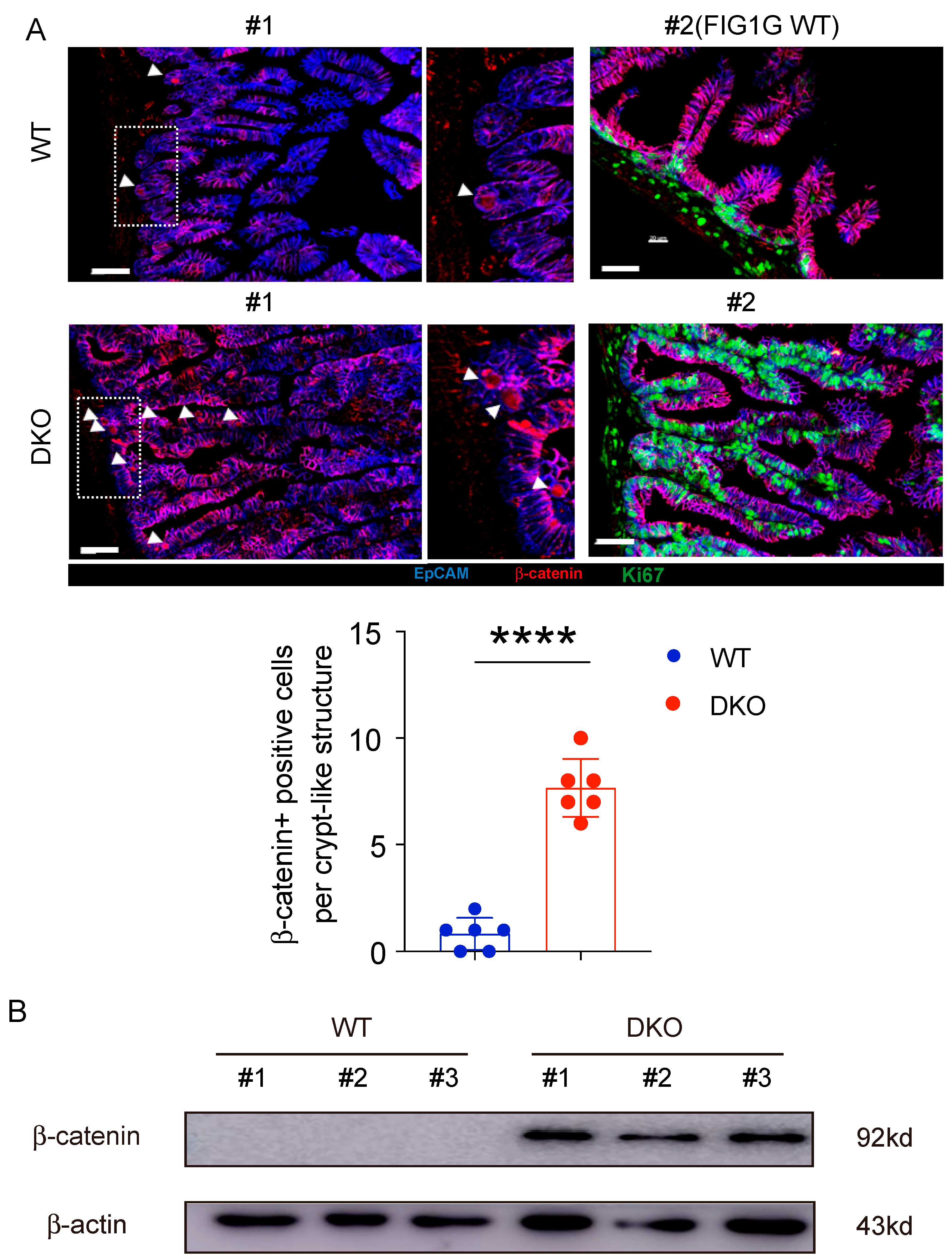 Biology 14 01551 g007 Biology 14 01551 g007