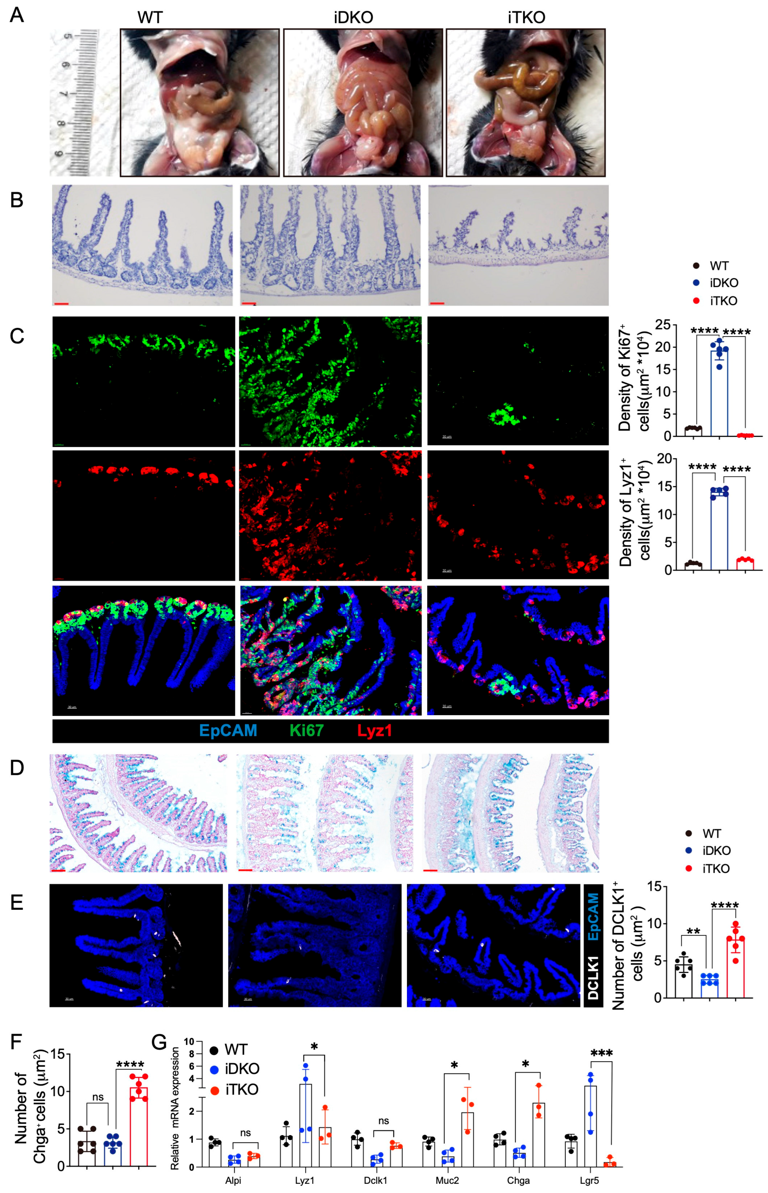 Biology 14 01551 g008 Biology 14 01551 g008