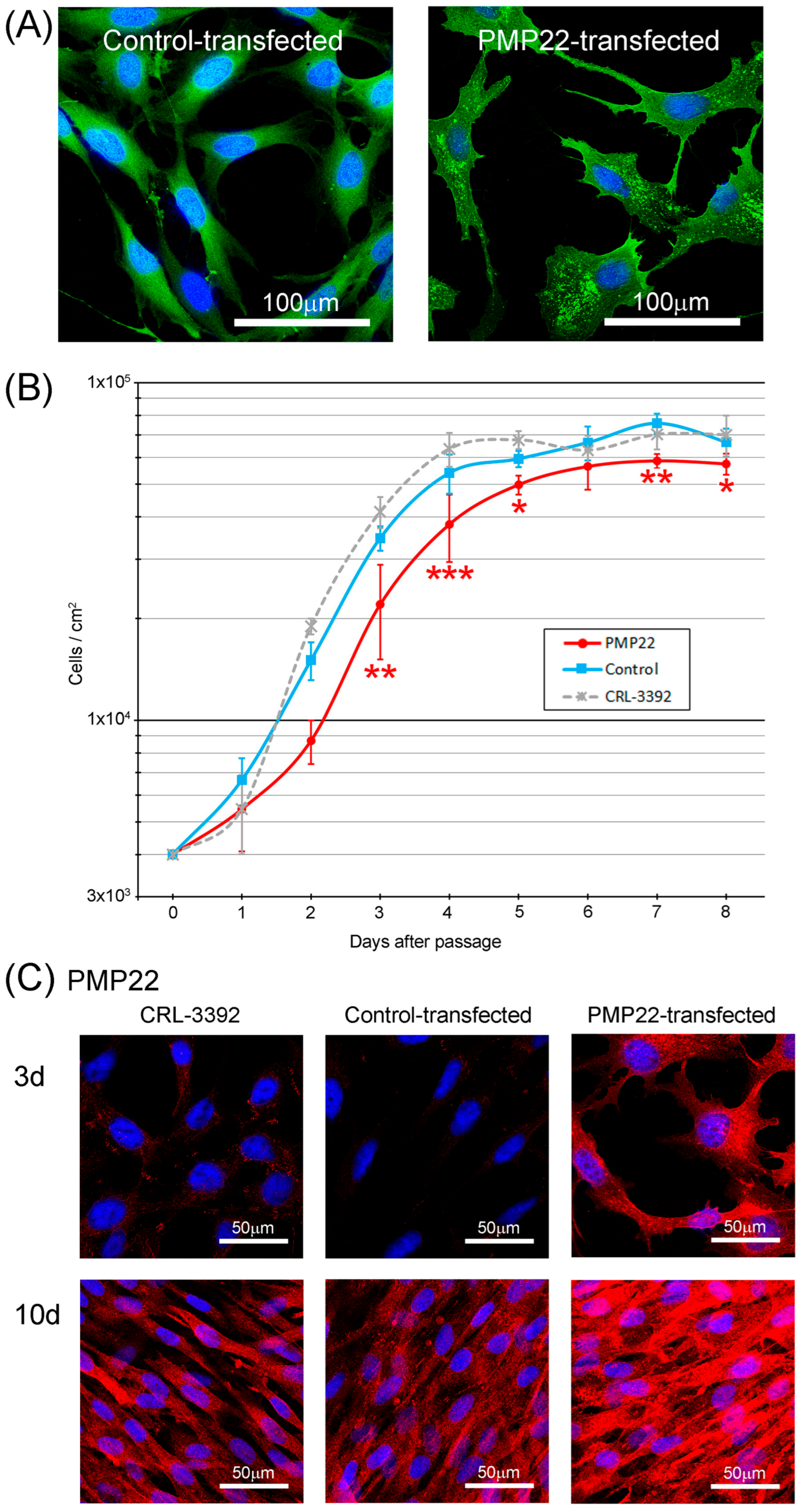 Biology 14 01552 g001 Biology 14 01552 g001