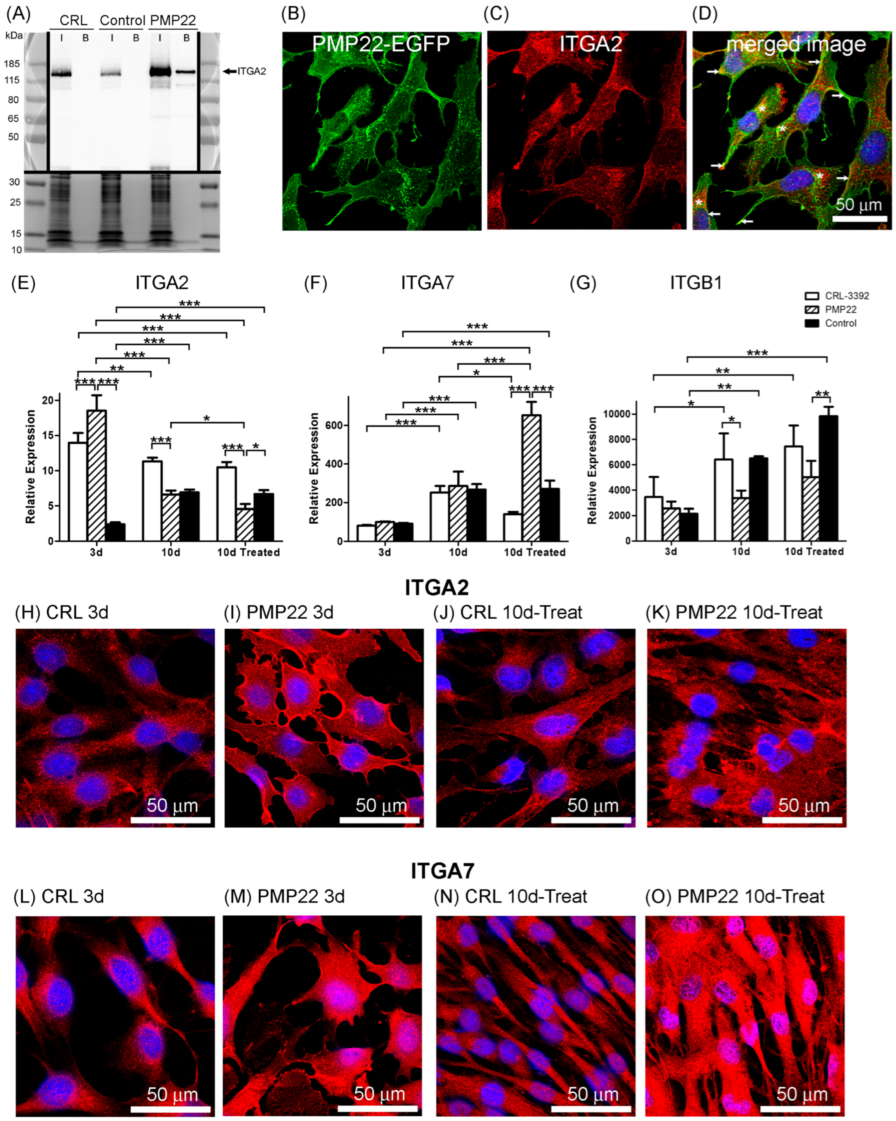Biology 14 01552 g006 Biology 14 01552 g006
