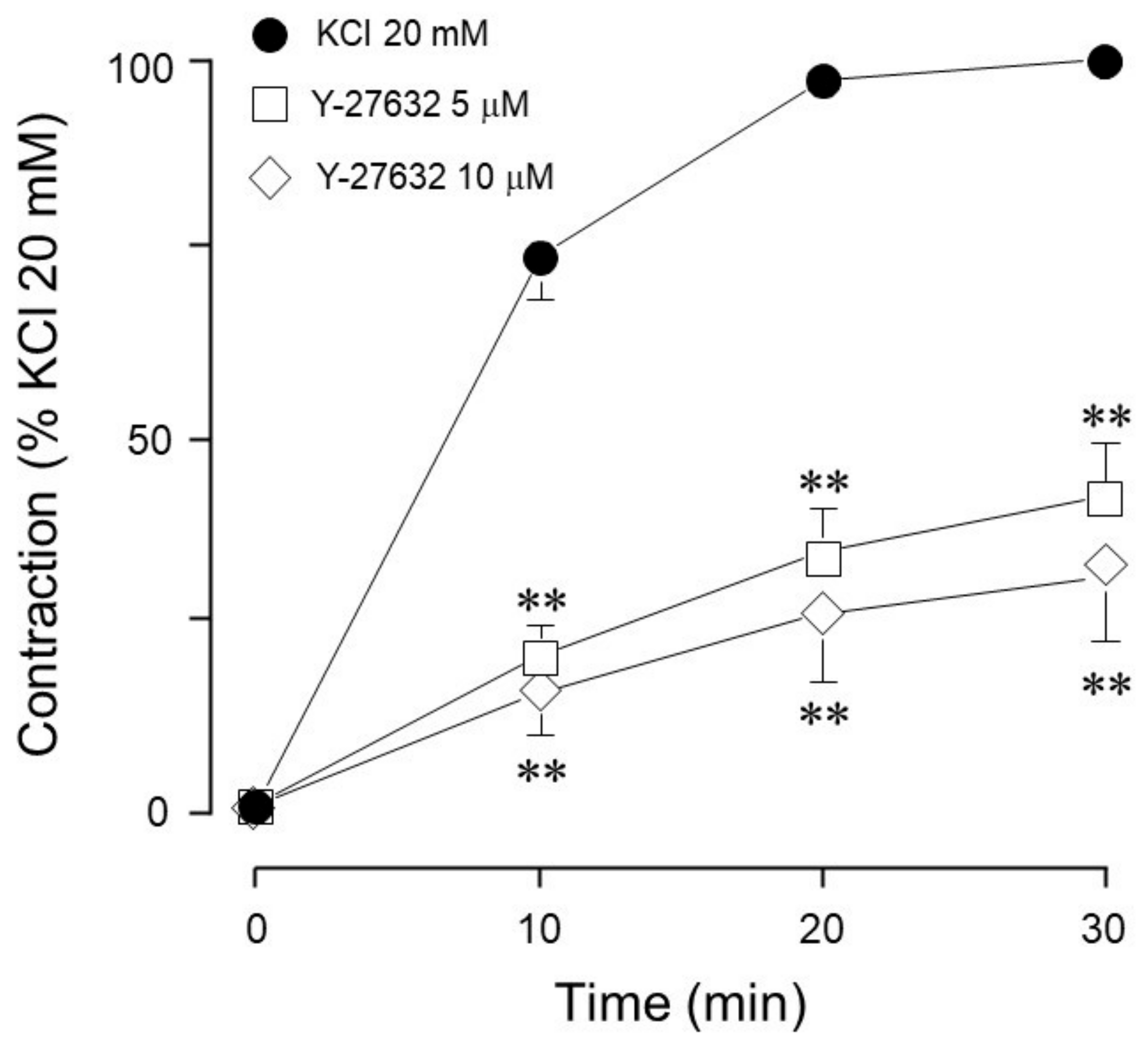 Biology 14 01557 g007 Biology 14 01557 g007