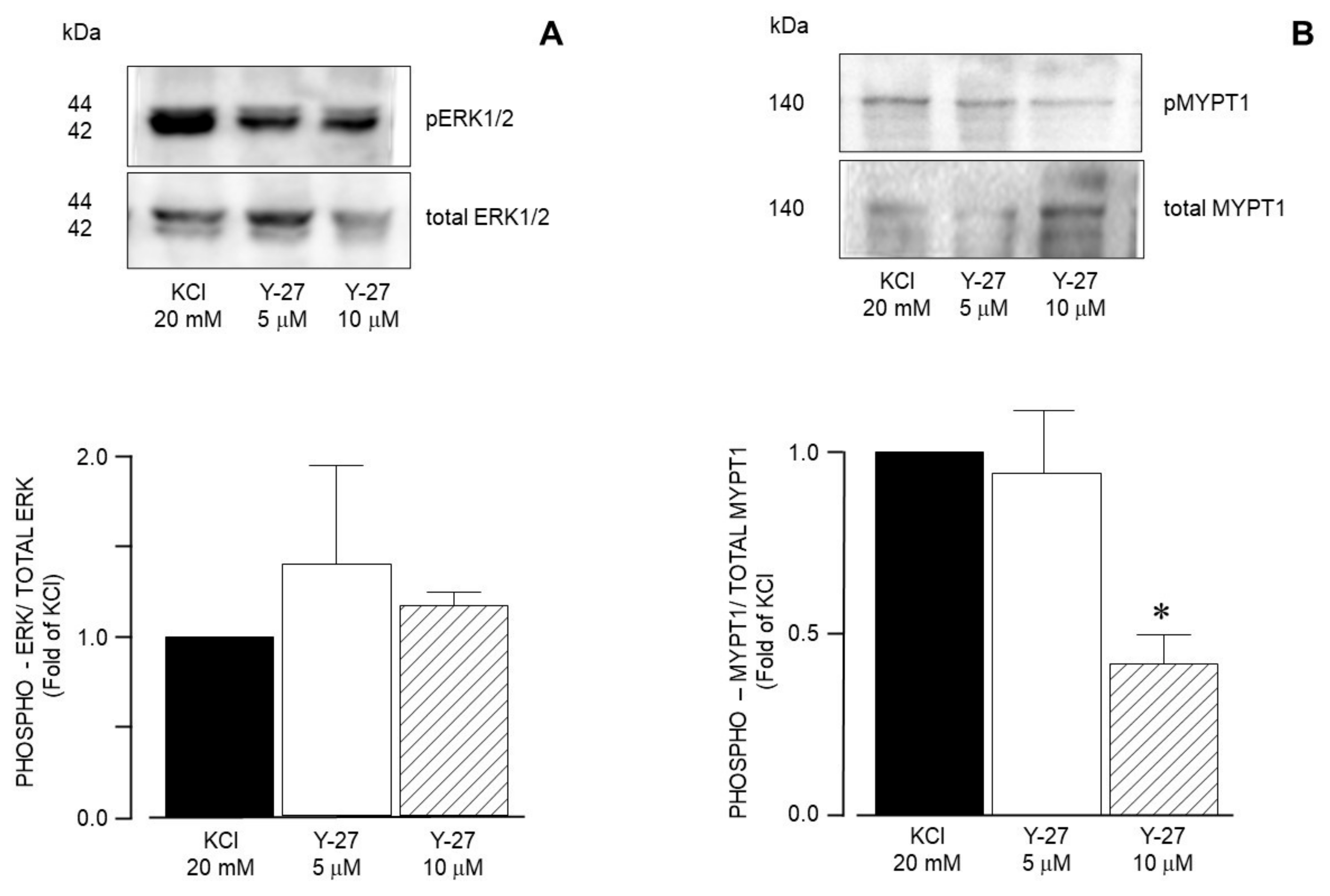 Biology 14 01557 g014 Biology 14 01557 g014