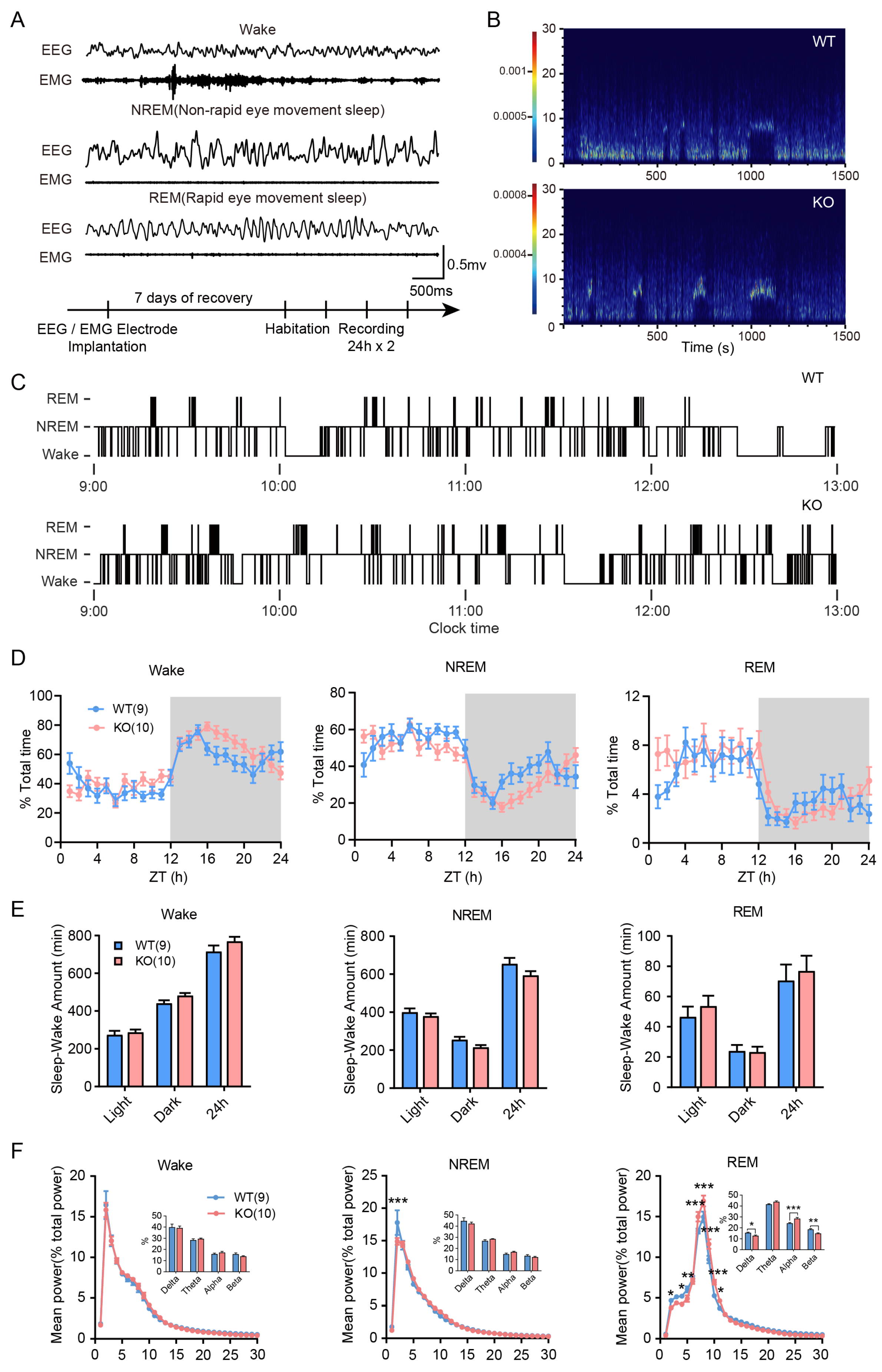 Biology 14 01560 g002