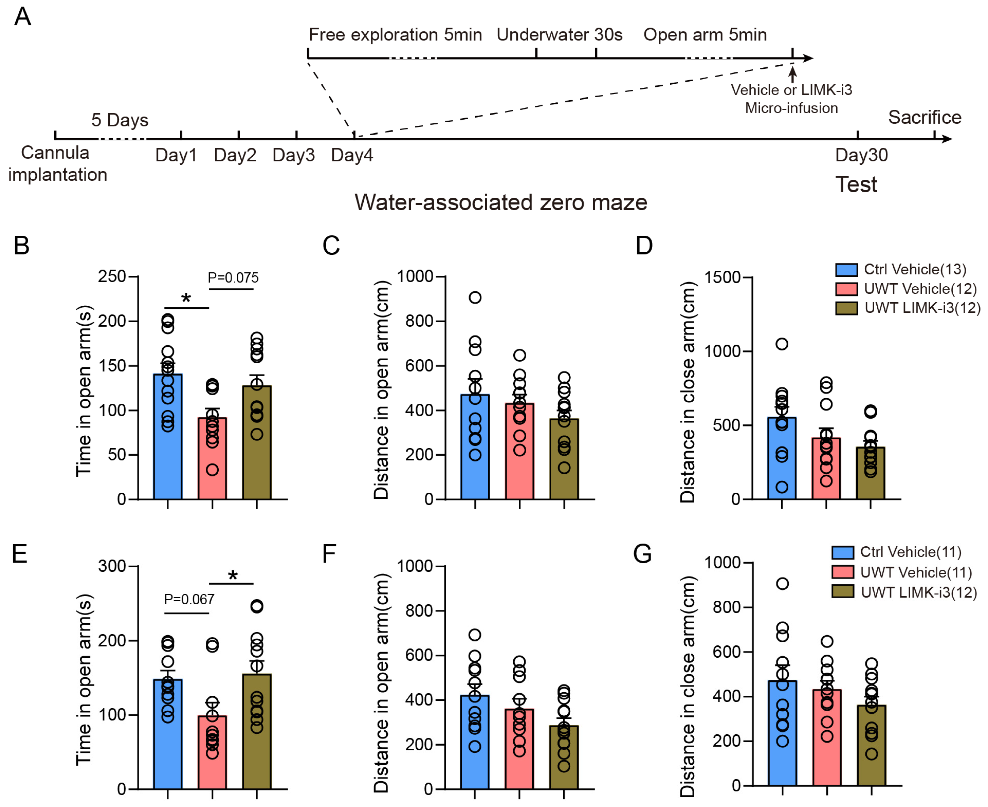 Biology 14 01560 g005